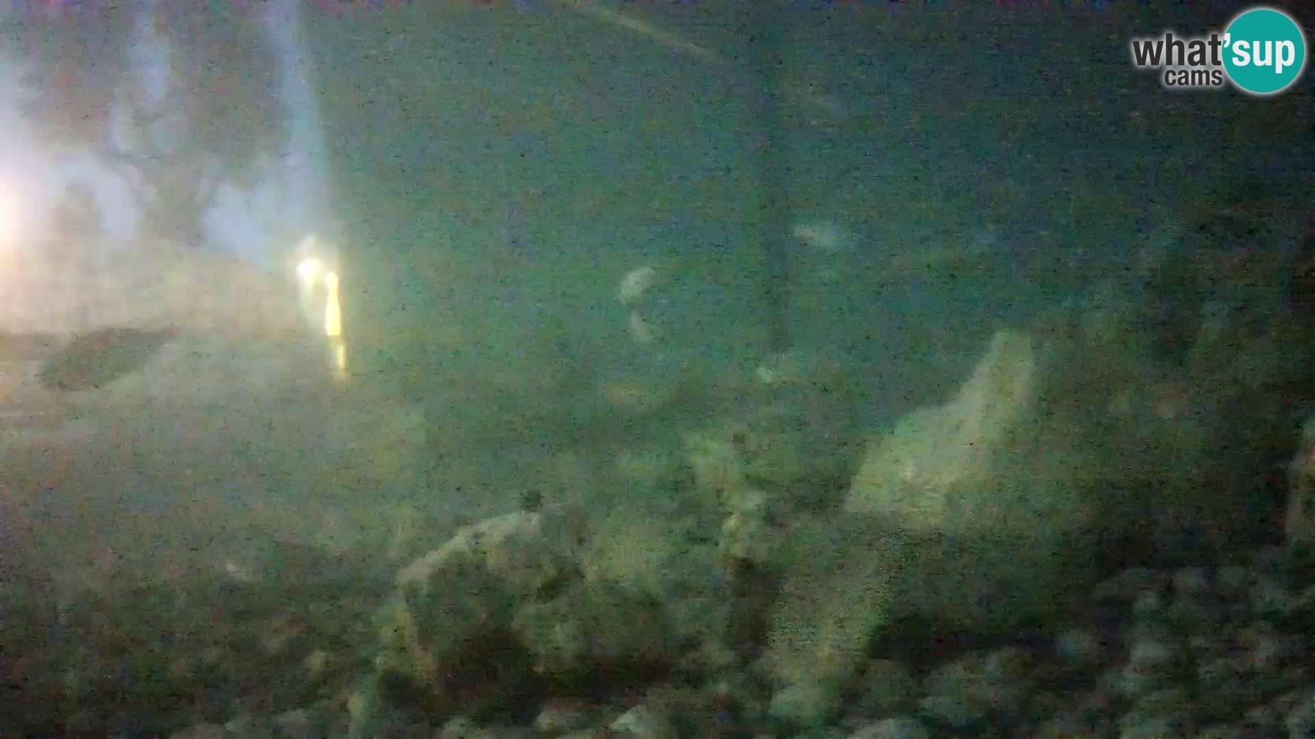 Marine Aquarium im Freien Rogoznica webcam Kroatien