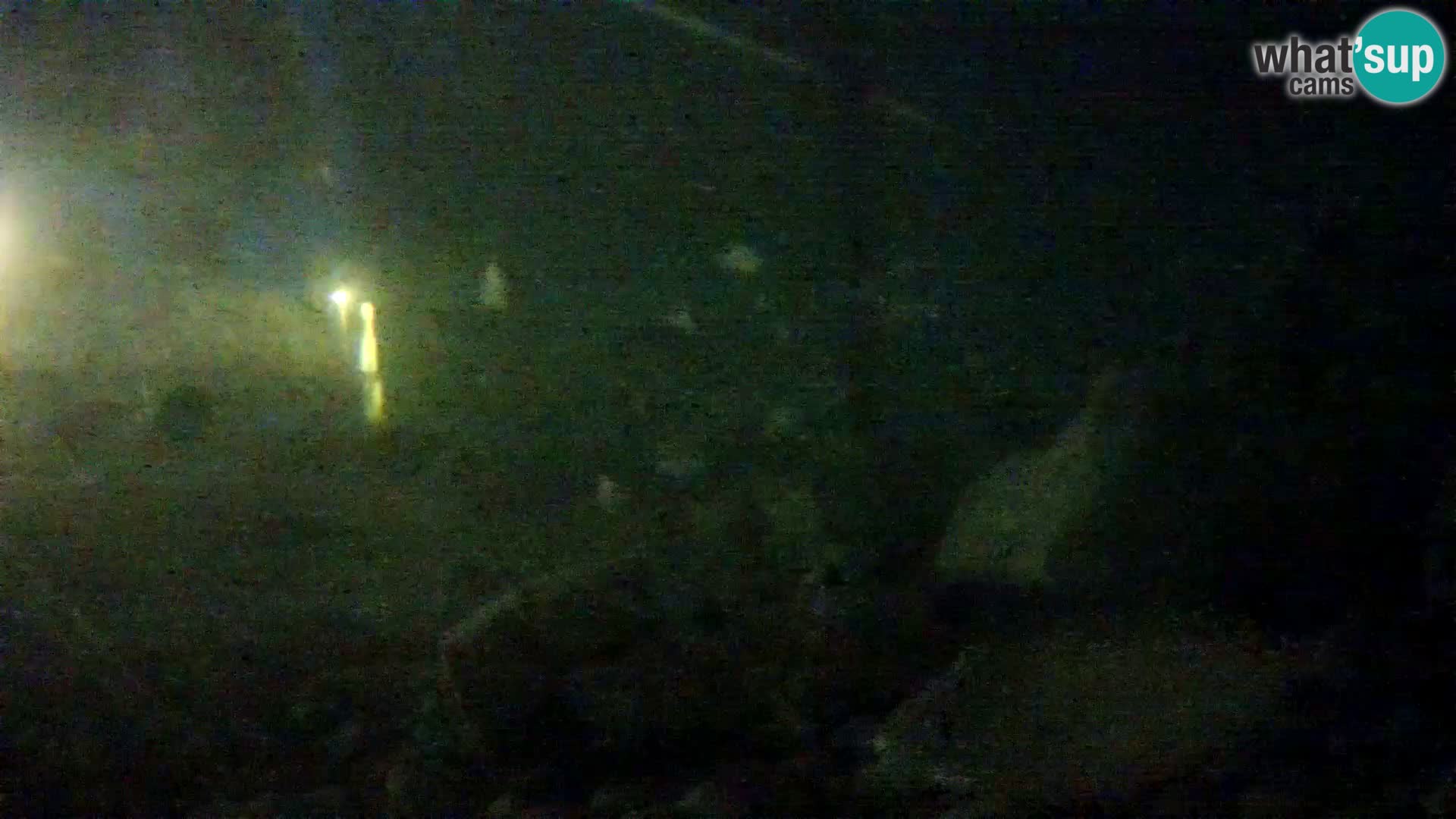 Aquario marino esterno –  Rogoznica livecam Croazia