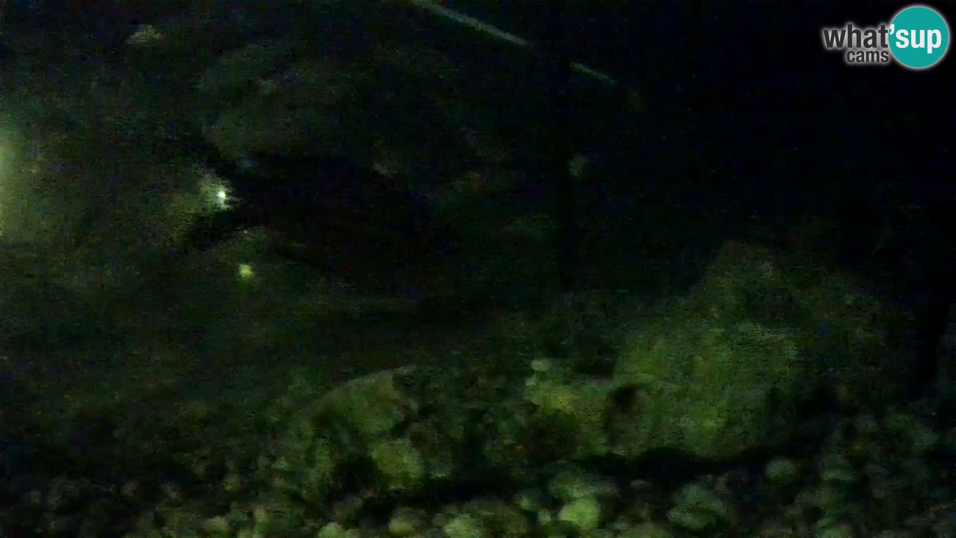 Zunanji morski akvarij Rogoznica spletna kamera Hrvaška