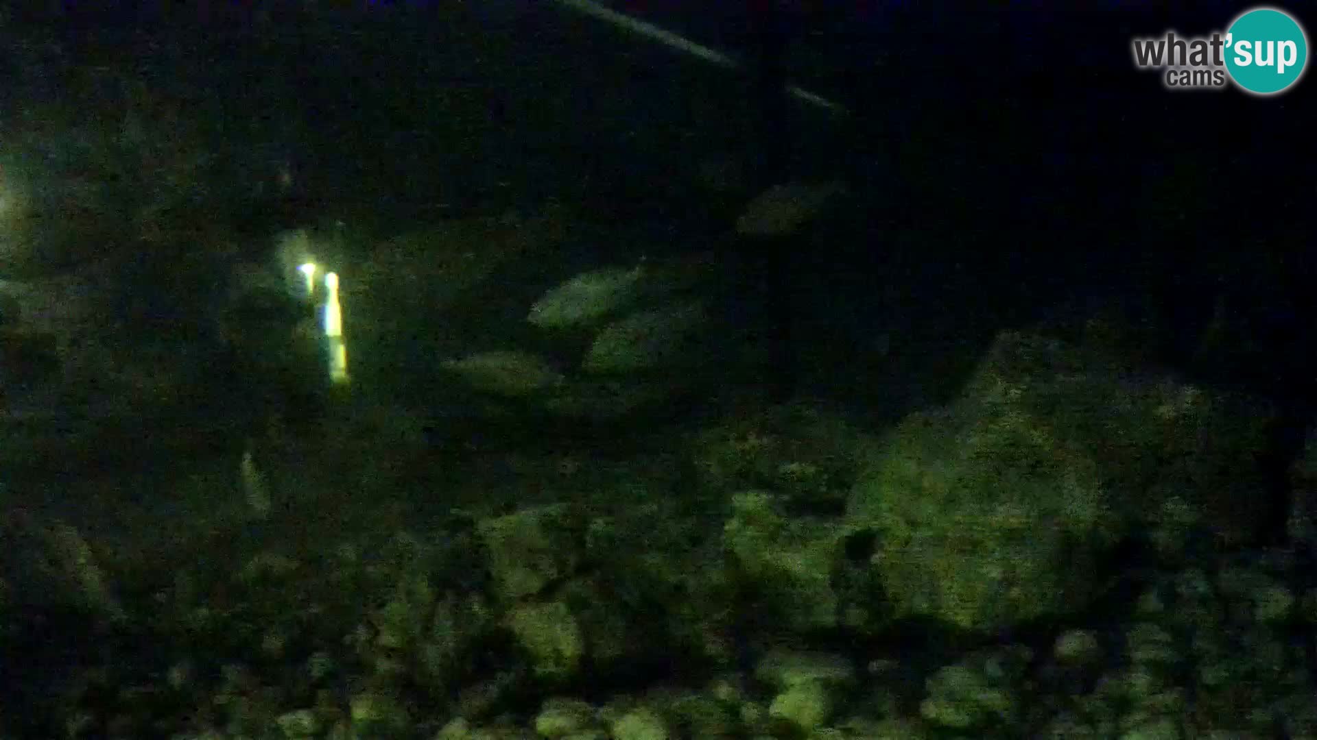 Marine Aquarium im Freien Rogoznica webcam Kroatien