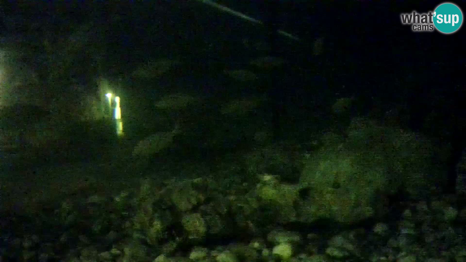 Outdoor Marine Aquarium Rogoznica webcam Croatia