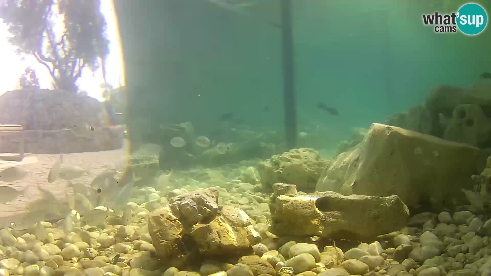 Marine Aquarium im Freien Rogoznica webcam Kroatien