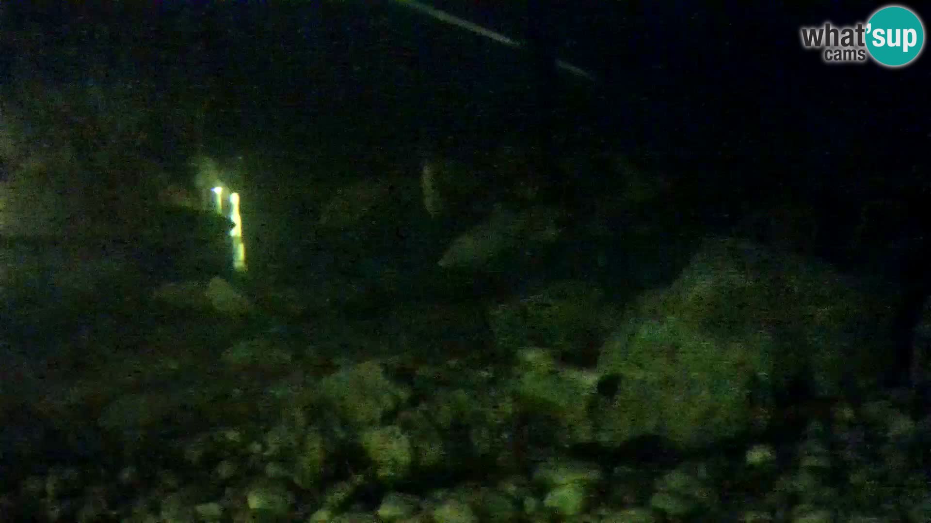 Aquario marino esterno –  Rogoznica livecam Croazia