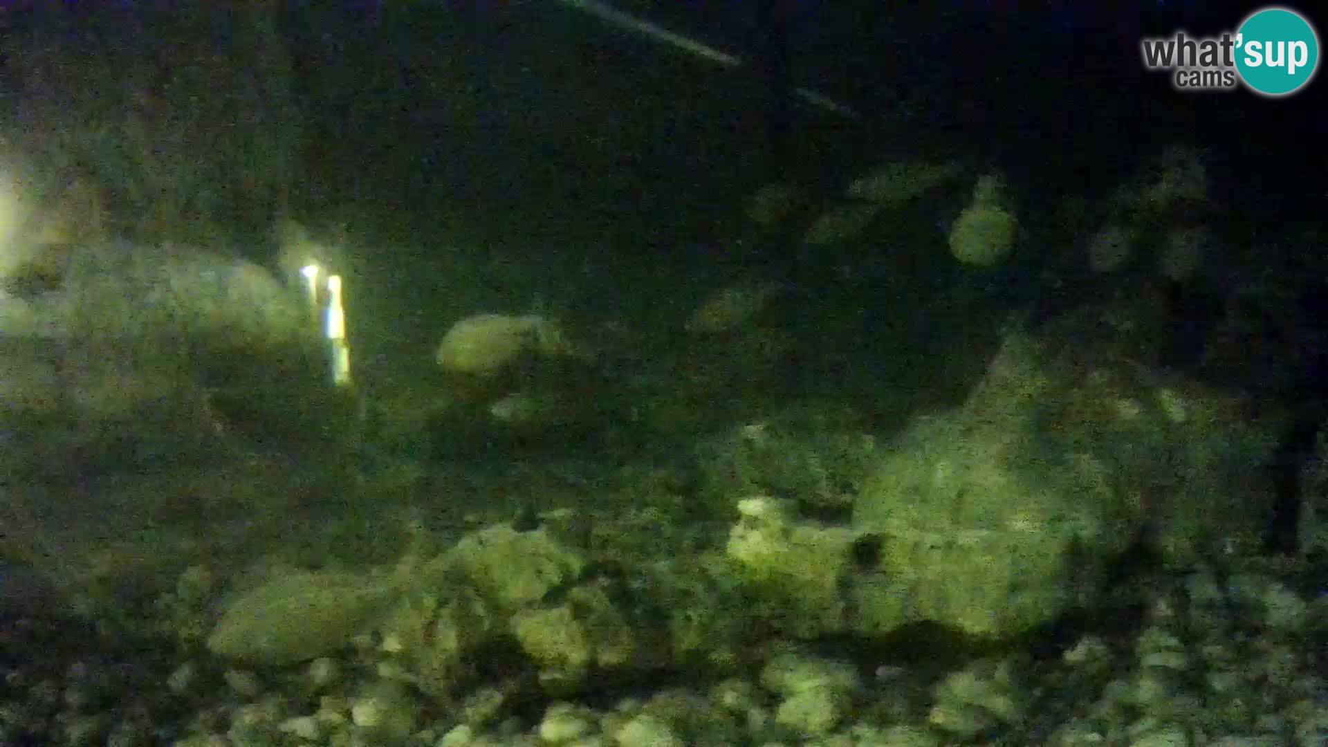 Outdoor Marine Aquarium Rogoznica webcam Croatia