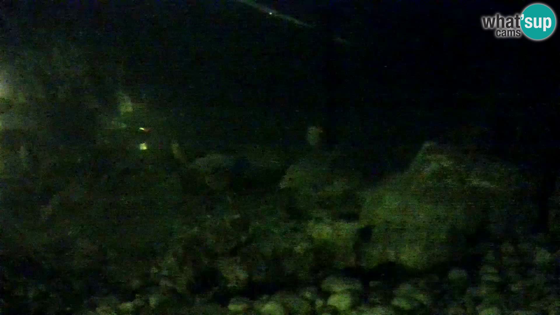 Outdoor Marine Aquarium Rogoznica webcam Croatia