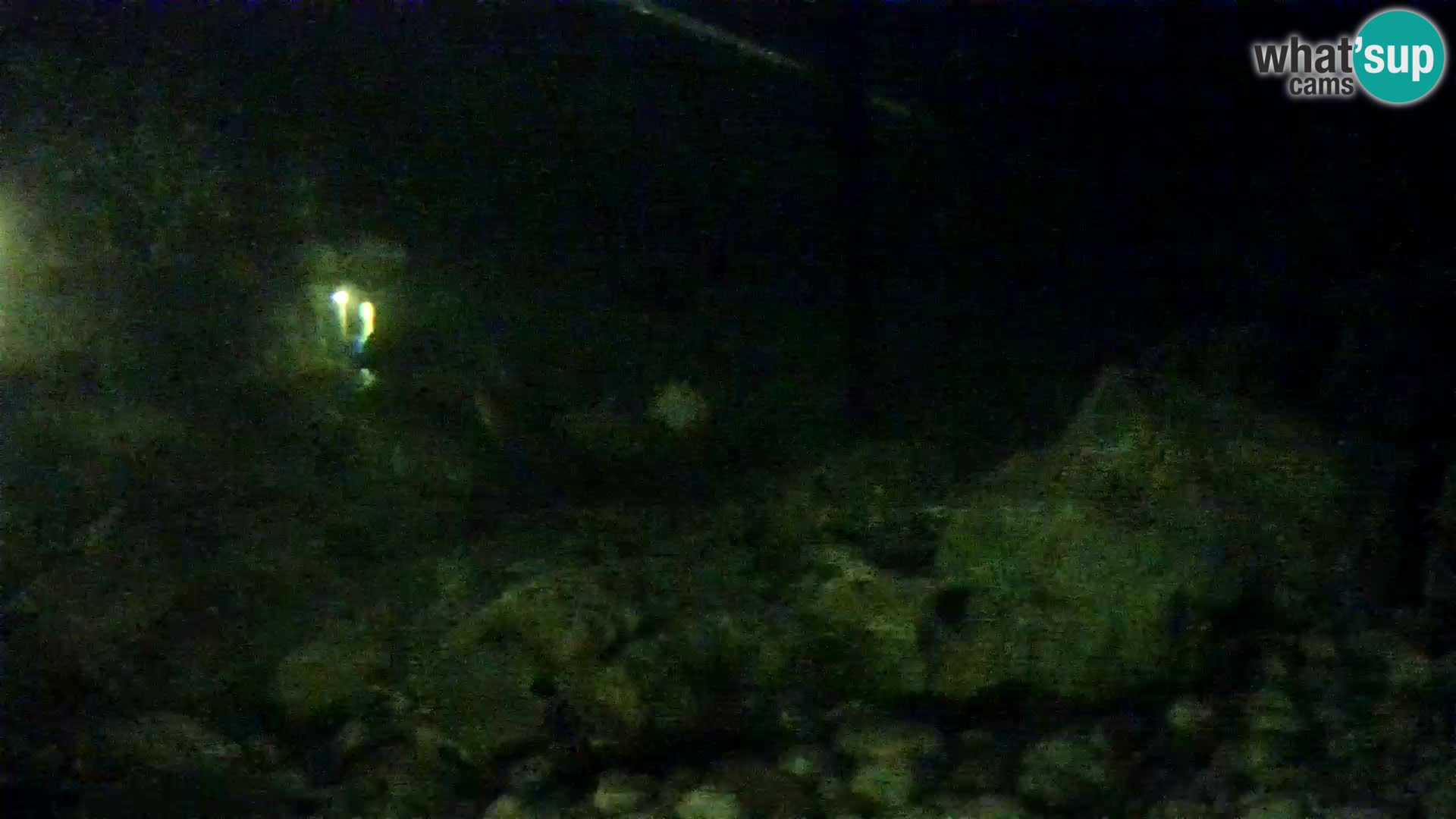 Zunanji morski akvarij Rogoznica spletna kamera Hrvaška