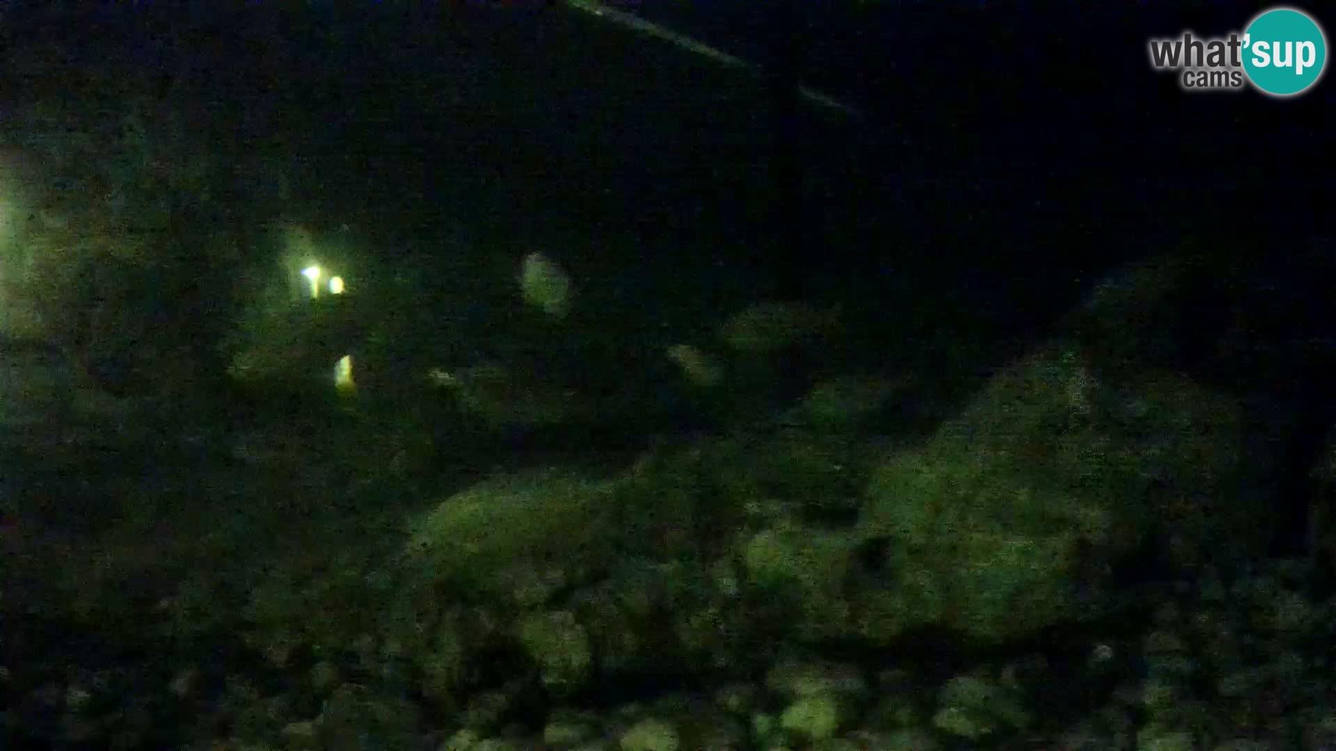 Acuario marino al aire libre Rogoznica webcam Croacia