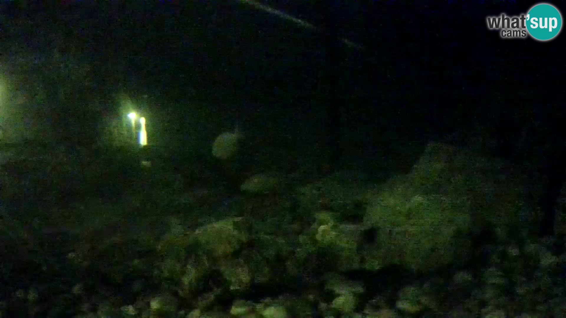 Outdoor Marine Aquarium Rogoznica webcam Croatia