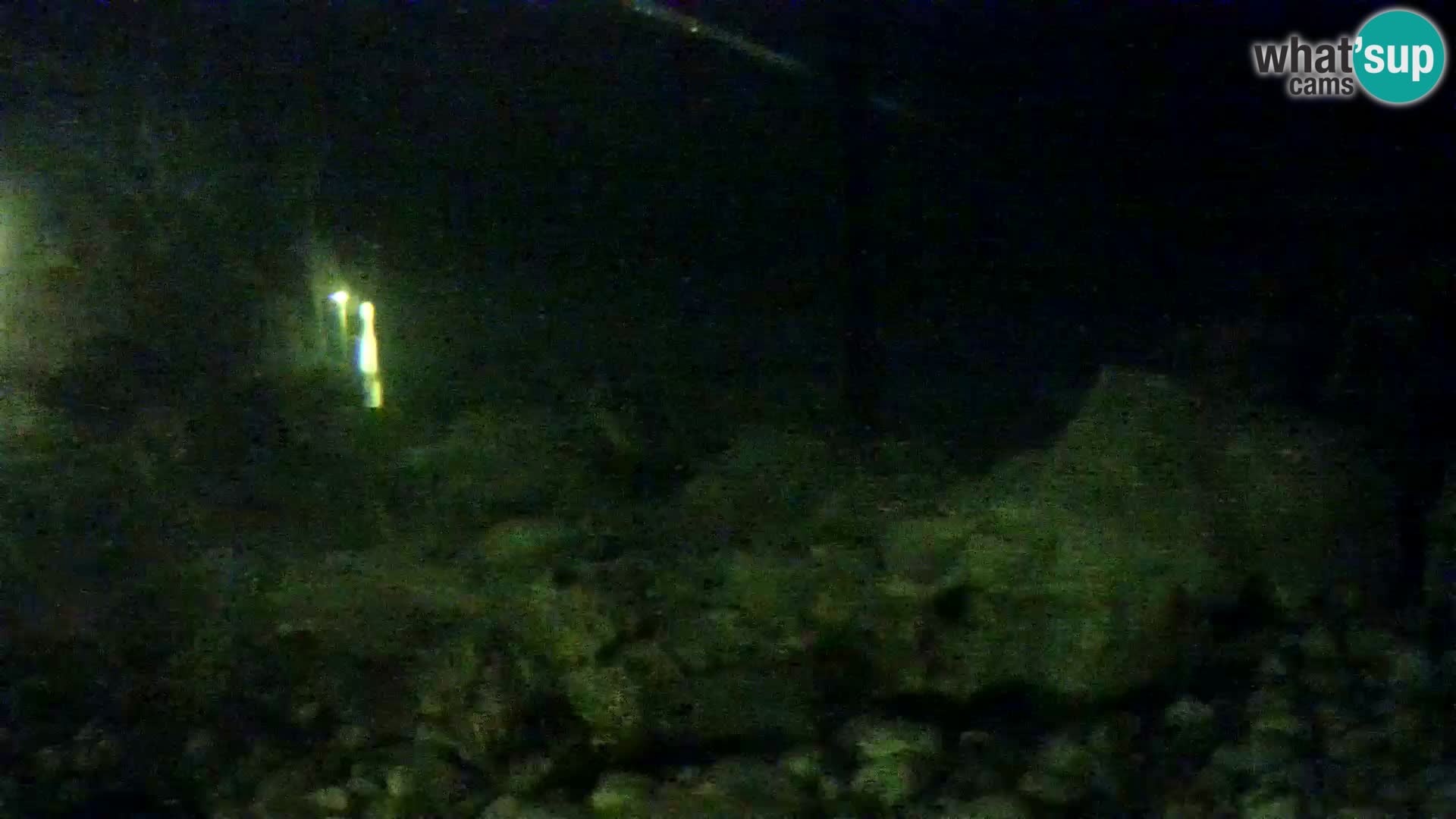 Aquario marino esterno –  Rogoznica livecam Croazia