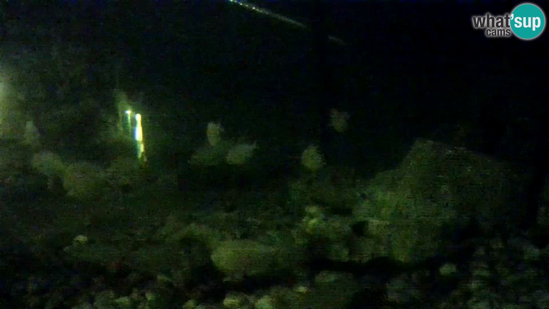 Acuario marino al aire libre Rogoznica webcam Croacia