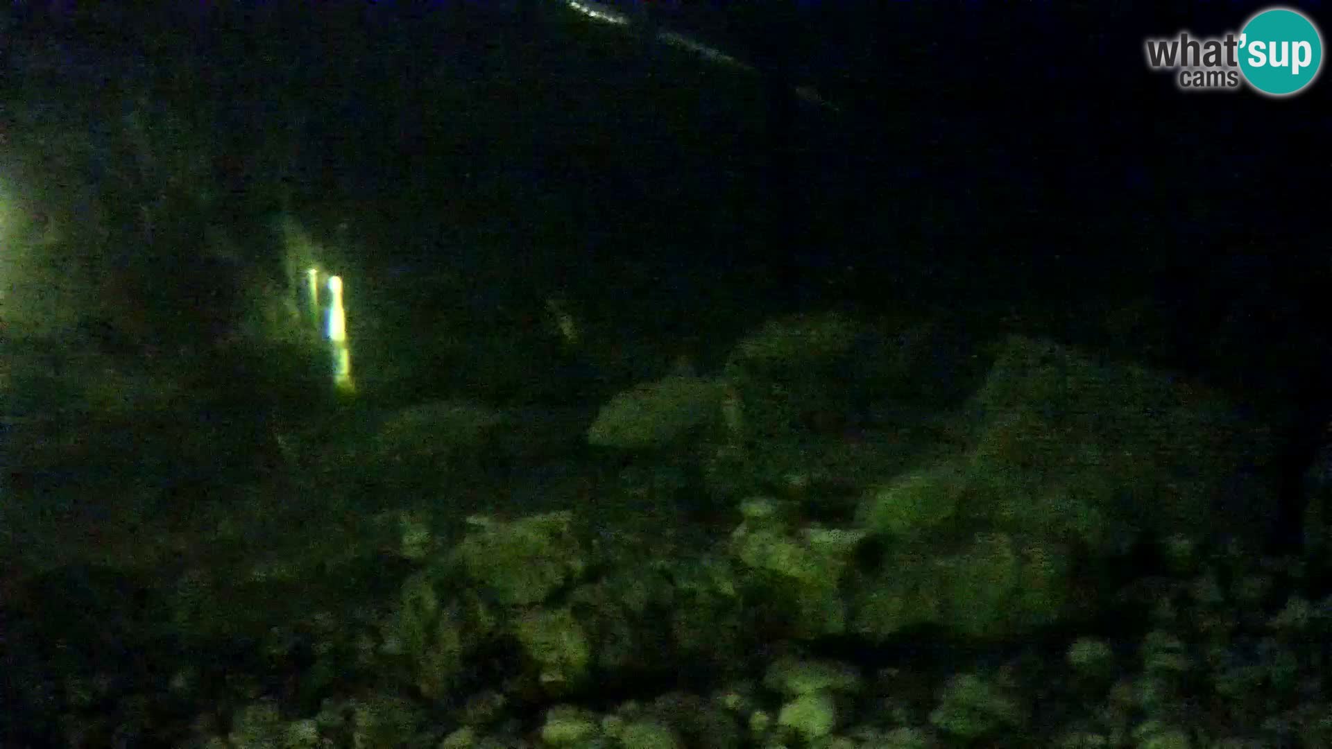 Aquario marino esterno –  Rogoznica livecam Croazia