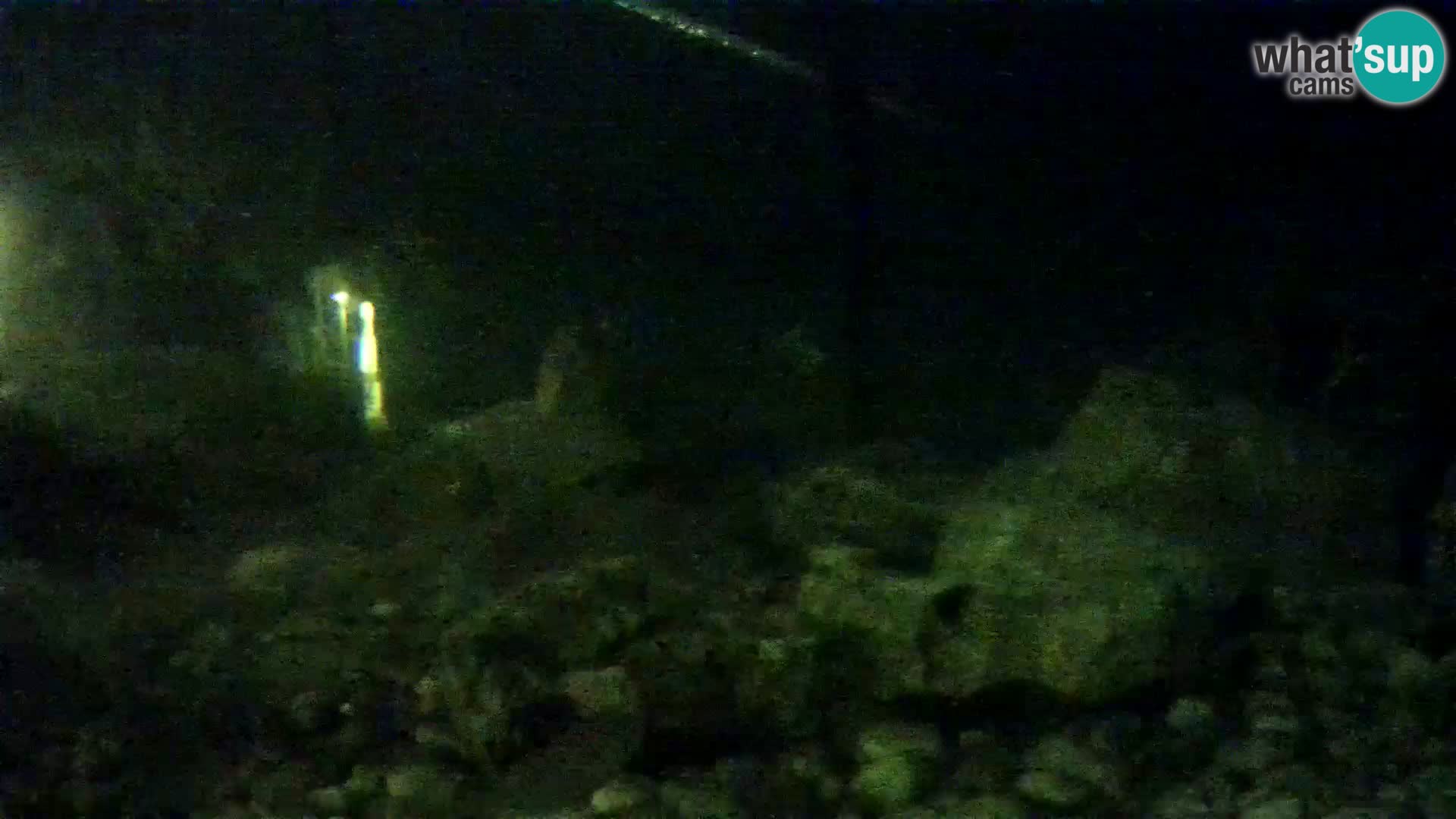 Aquario marino esterno –  Rogoznica livecam Croazia