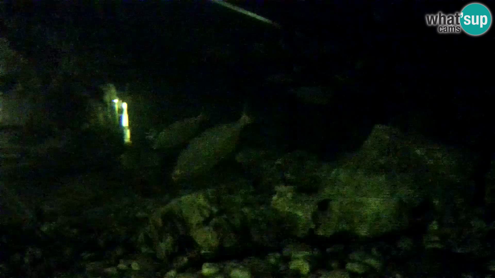 Aquario marino esterno –  Rogoznica livecam Croazia