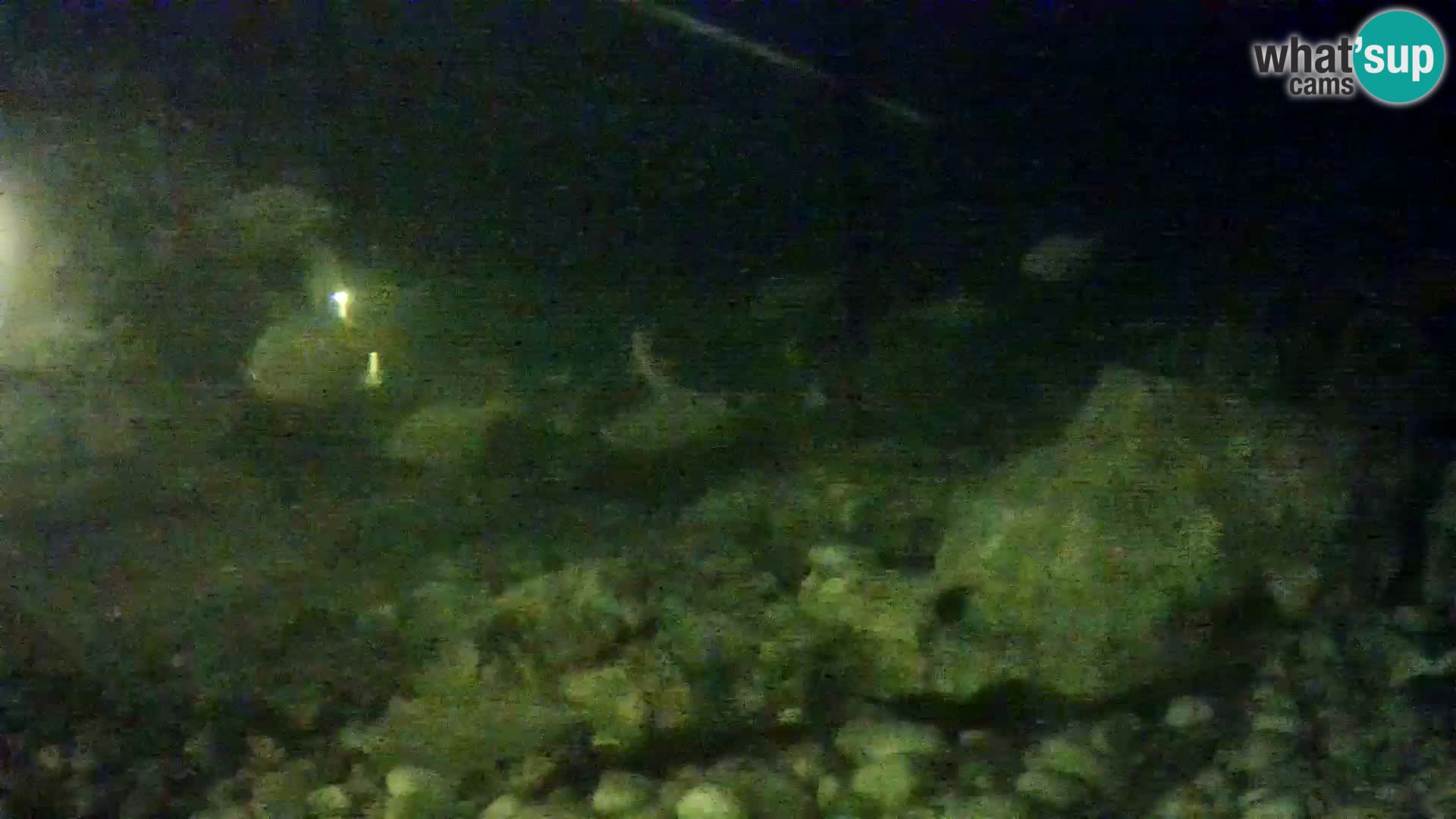 Zunanji morski akvarij Rogoznica spletna kamera Hrvaška