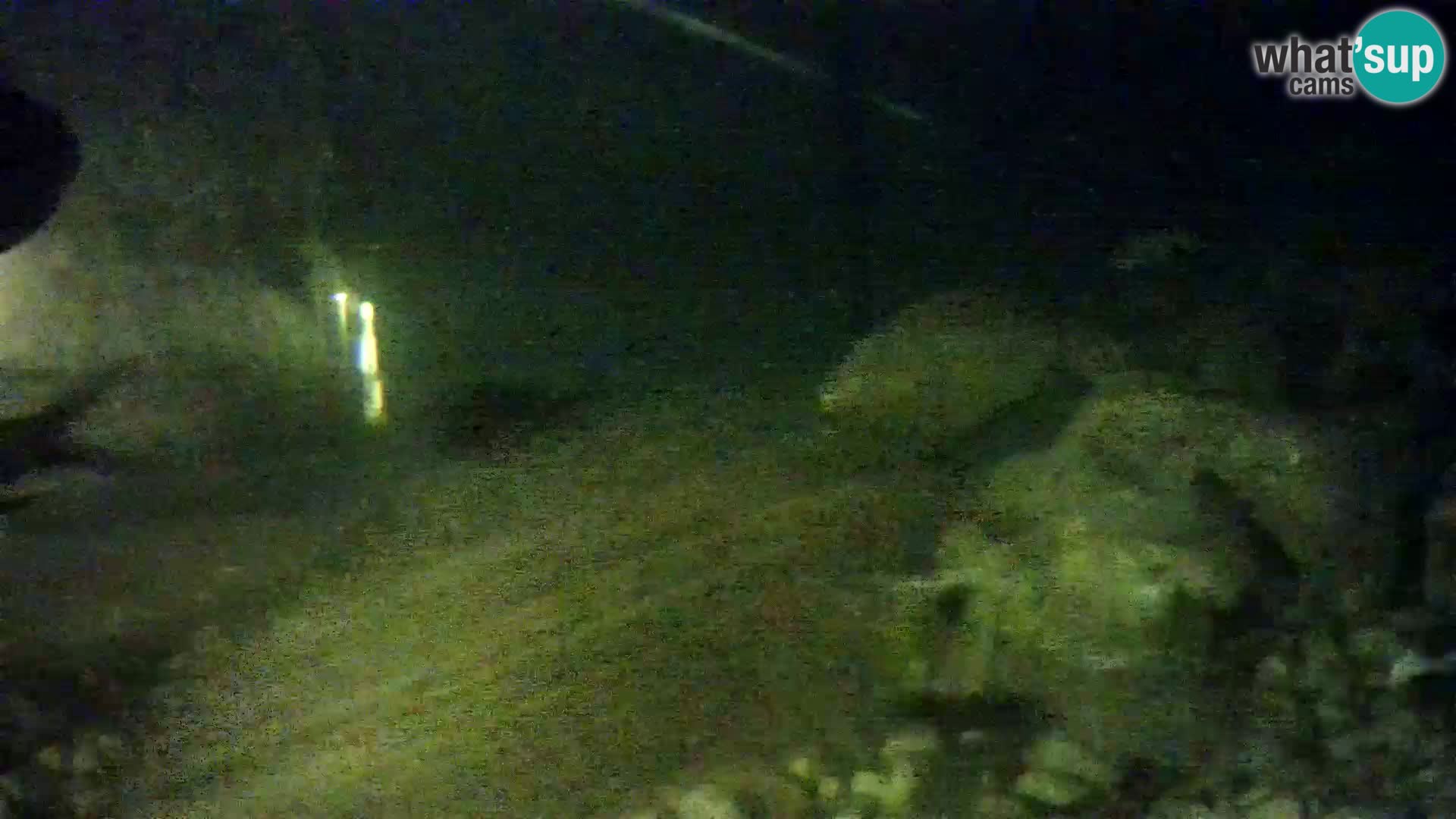 Outdoor Marine Aquarium Rogoznica webcam Croatia