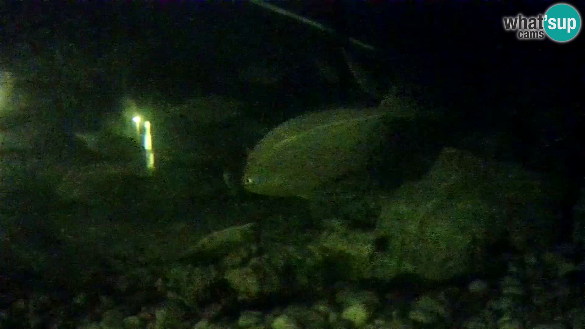Aquario marino esterno –  Rogoznica livecam Croazia