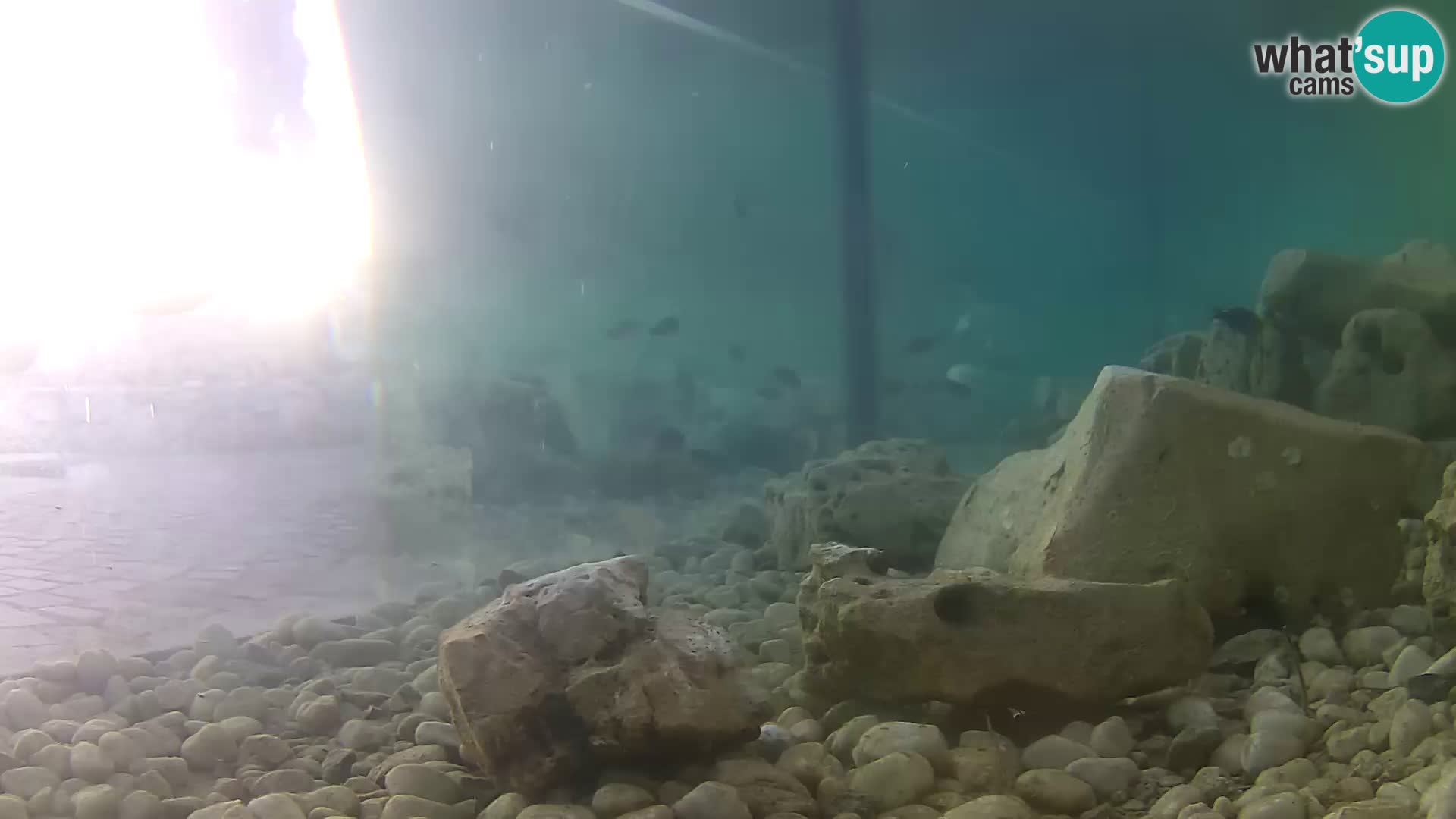 Marine Aquarium im Freien Rogoznica webcam Kroatien