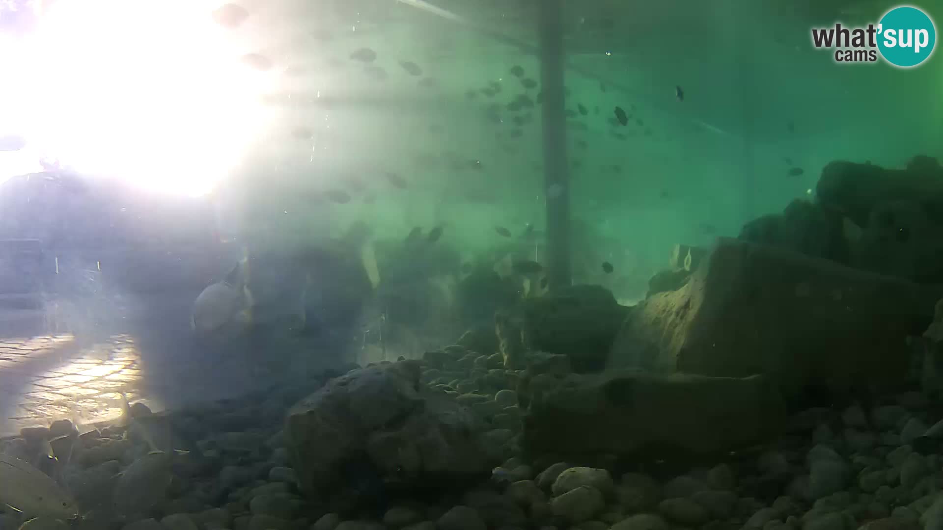 Marine Aquarium im Freien Rogoznica webcam Kroatien