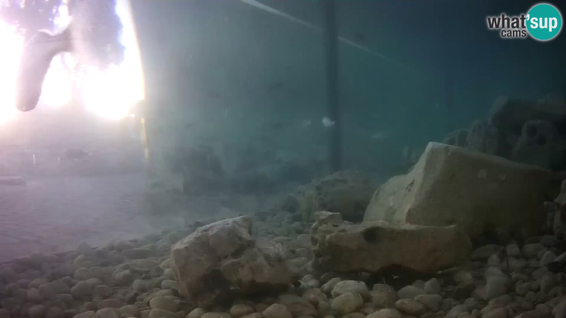 Marine Aquarium im Freien Rogoznica webcam Kroatien