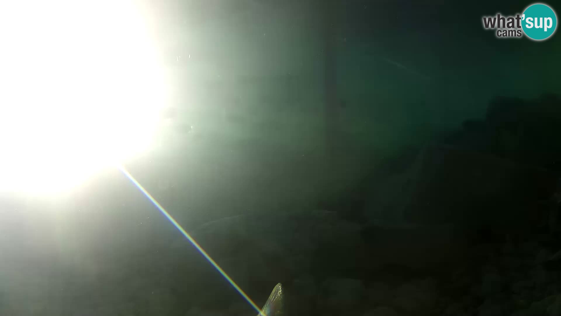 Marine Aquarium im Freien Rogoznica webcam Kroatien