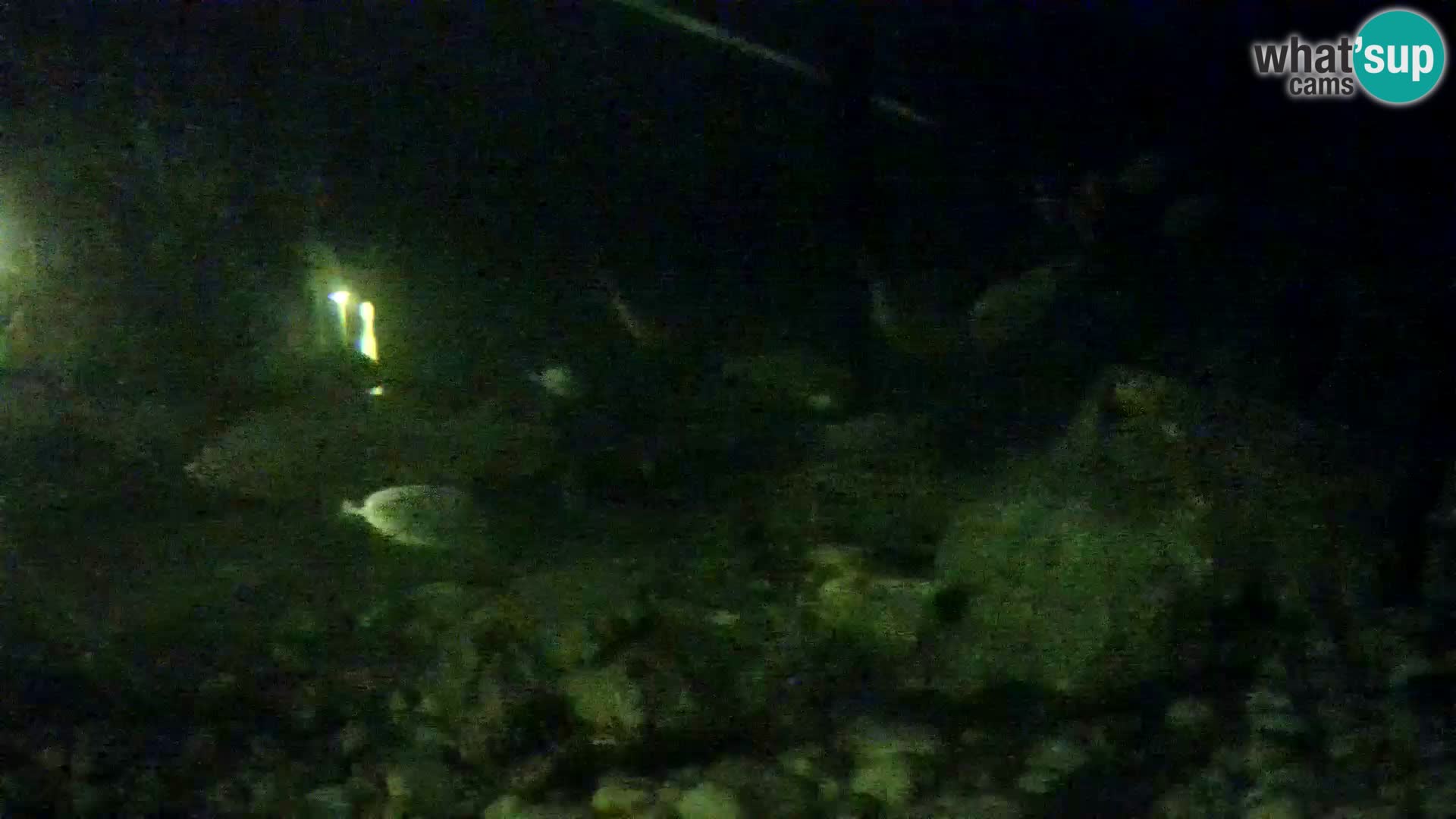 Outdoor Marine Aquarium Rogoznica webcam Croatia