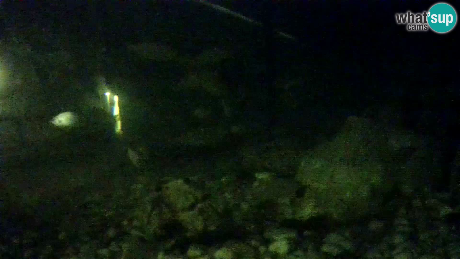 Webcam de l’aquarium marin extérieur de Rogoznica Croatie