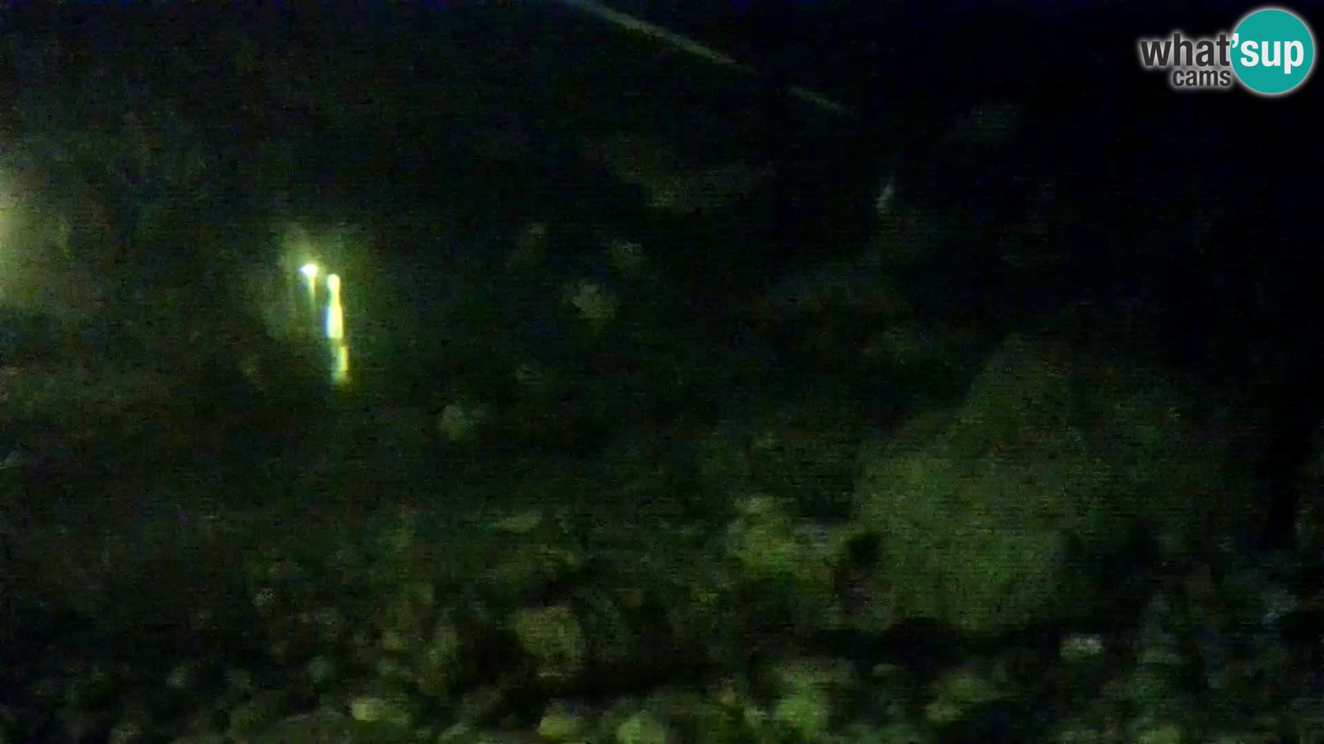 Aquario marino esterno –  Rogoznica livecam Croazia