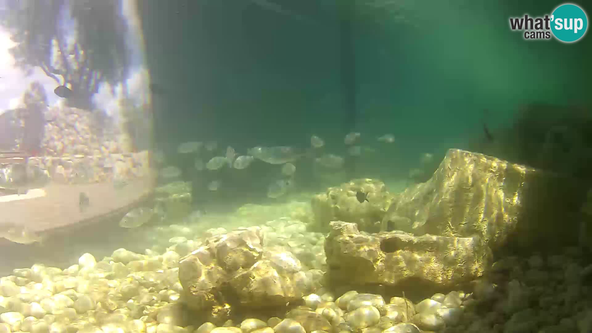 Marine Aquarium im Freien Rogoznica webcam Kroatien