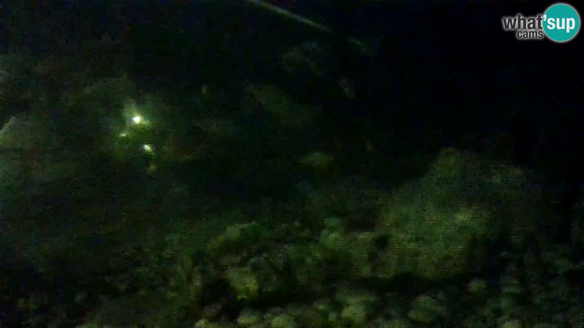 Aquario marino esterno –  Rogoznica livecam Croazia