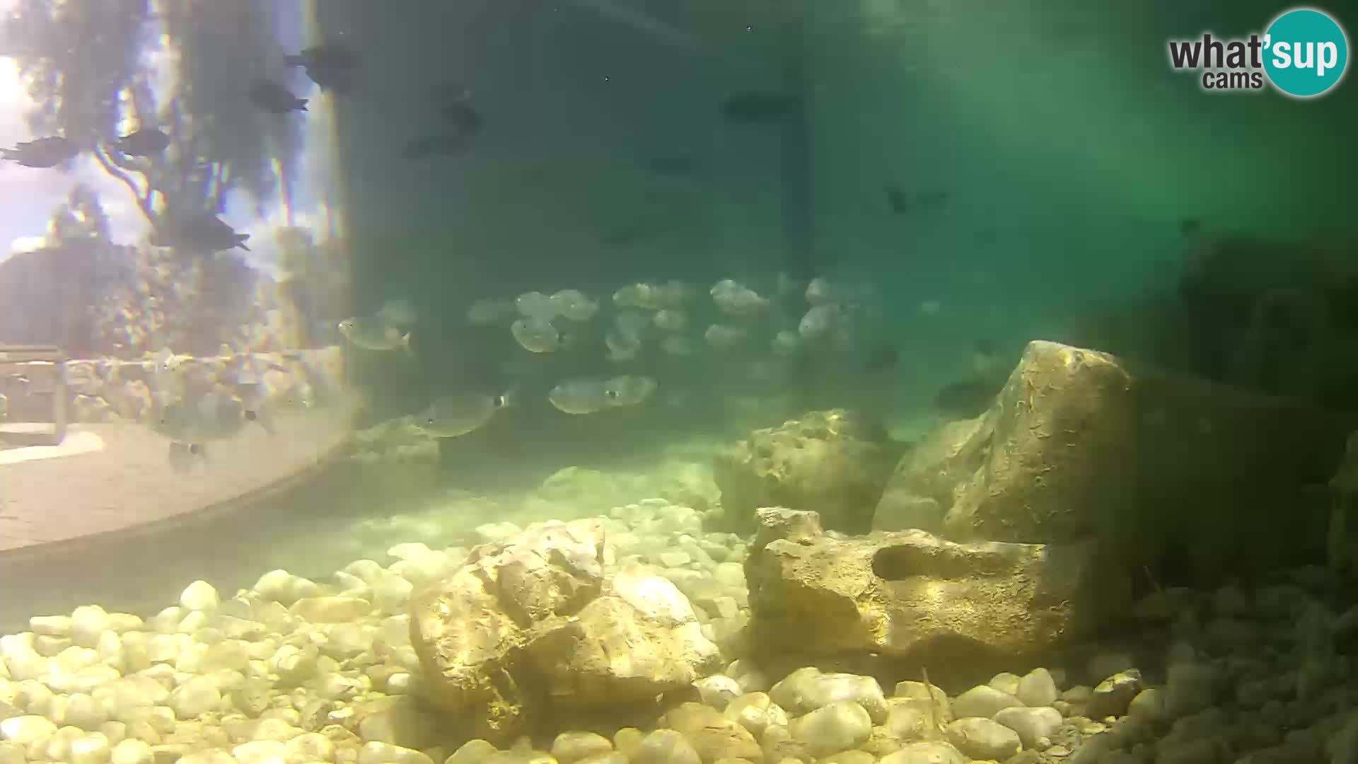 Marine Aquarium im Freien Rogoznica webcam Kroatien