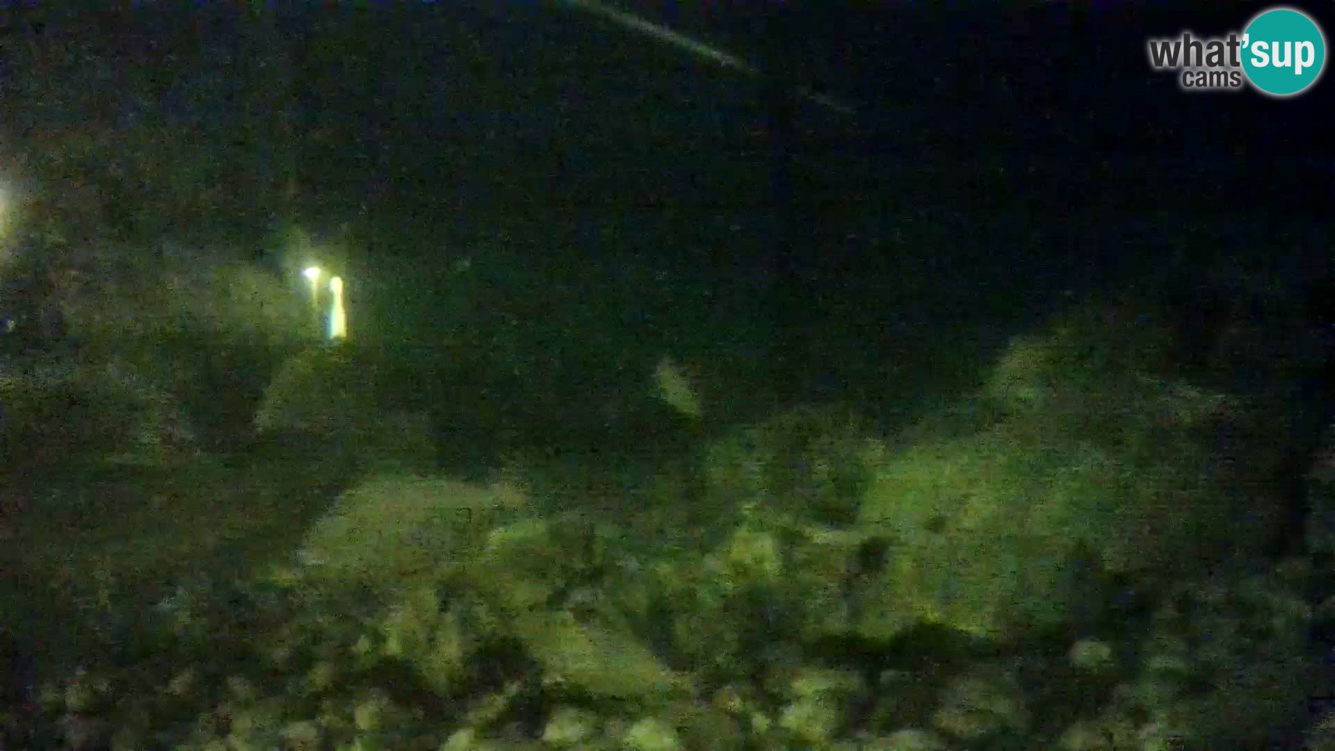 Webcam de l’aquarium marin extérieur de Rogoznica Croatie