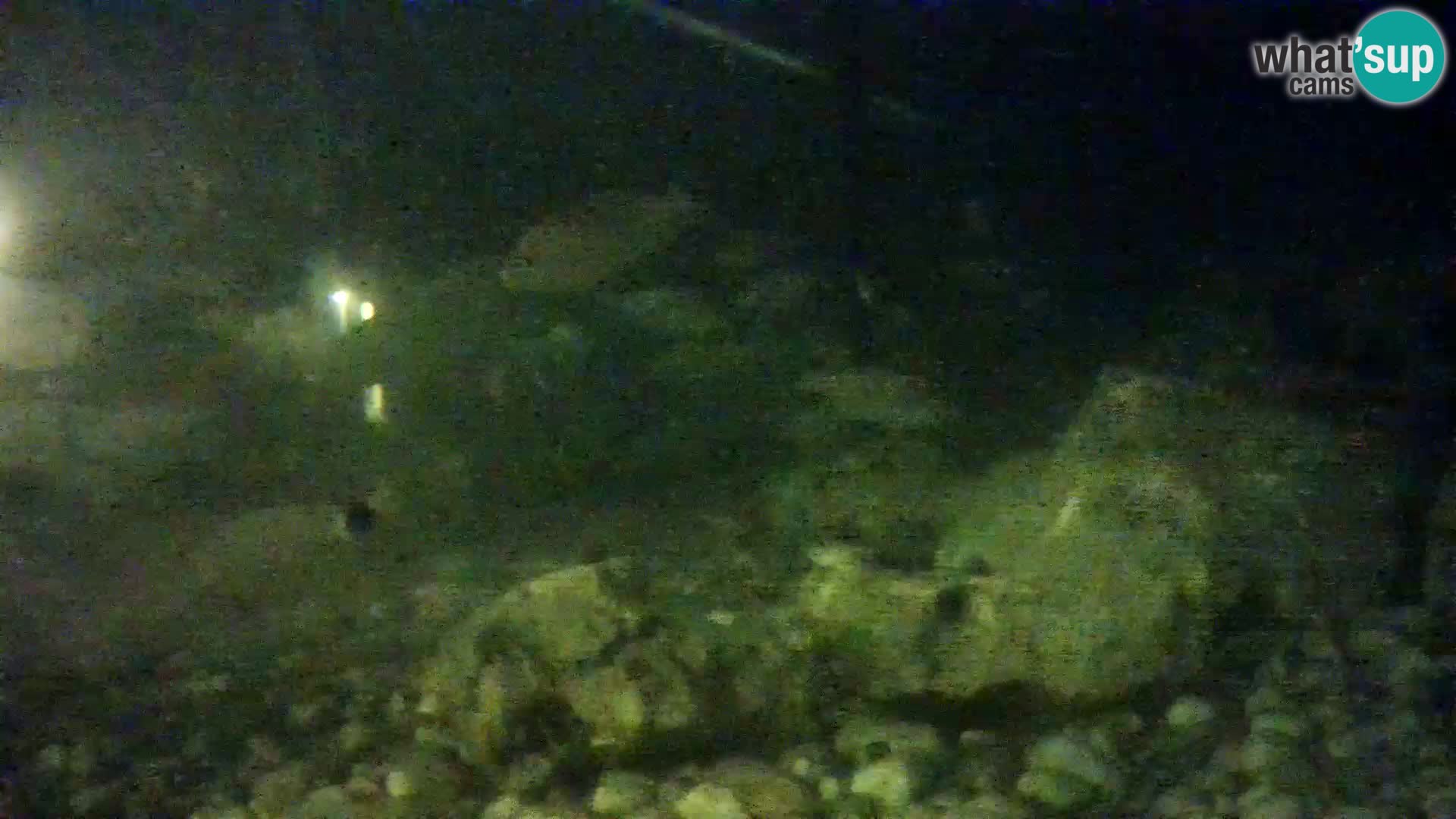 Outdoor Marine Aquarium Rogoznica webcam Croatia