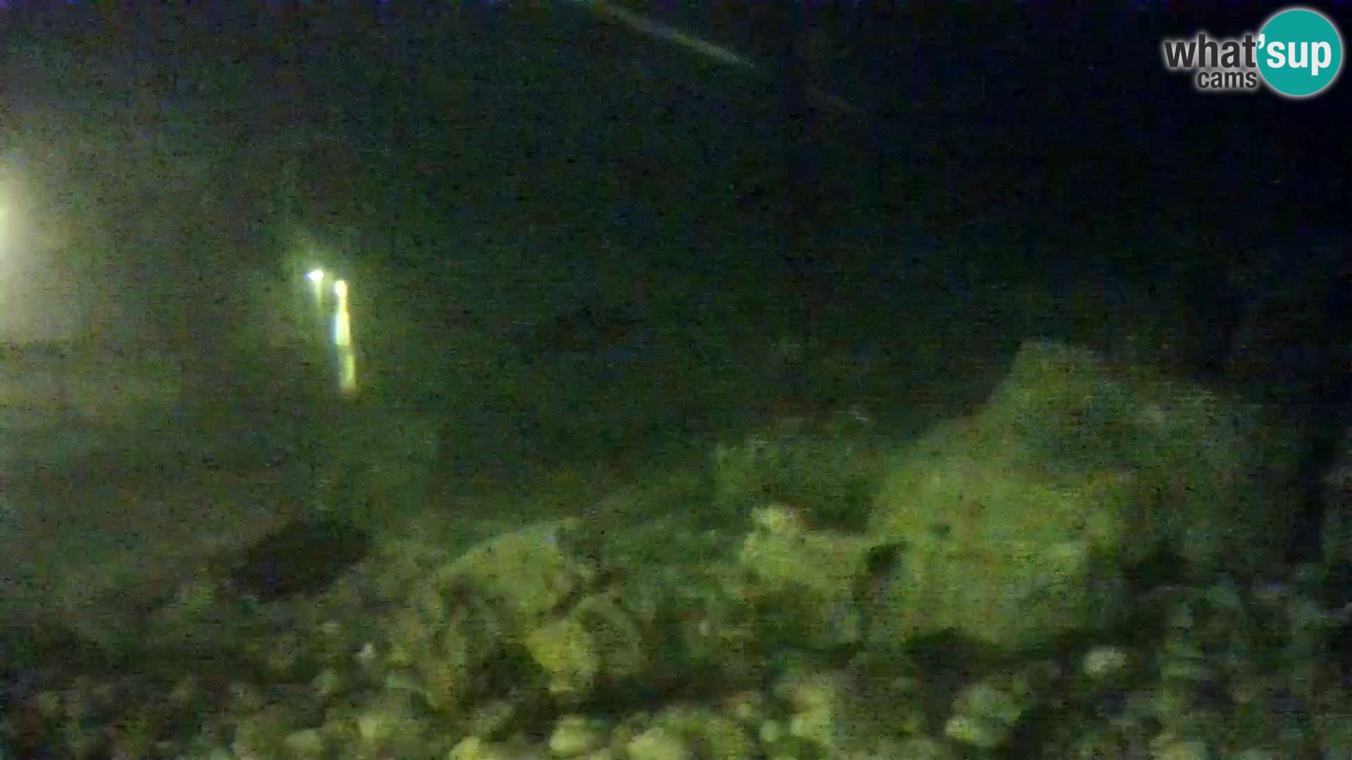Marine Aquarium im Freien Rogoznica webcam Kroatien