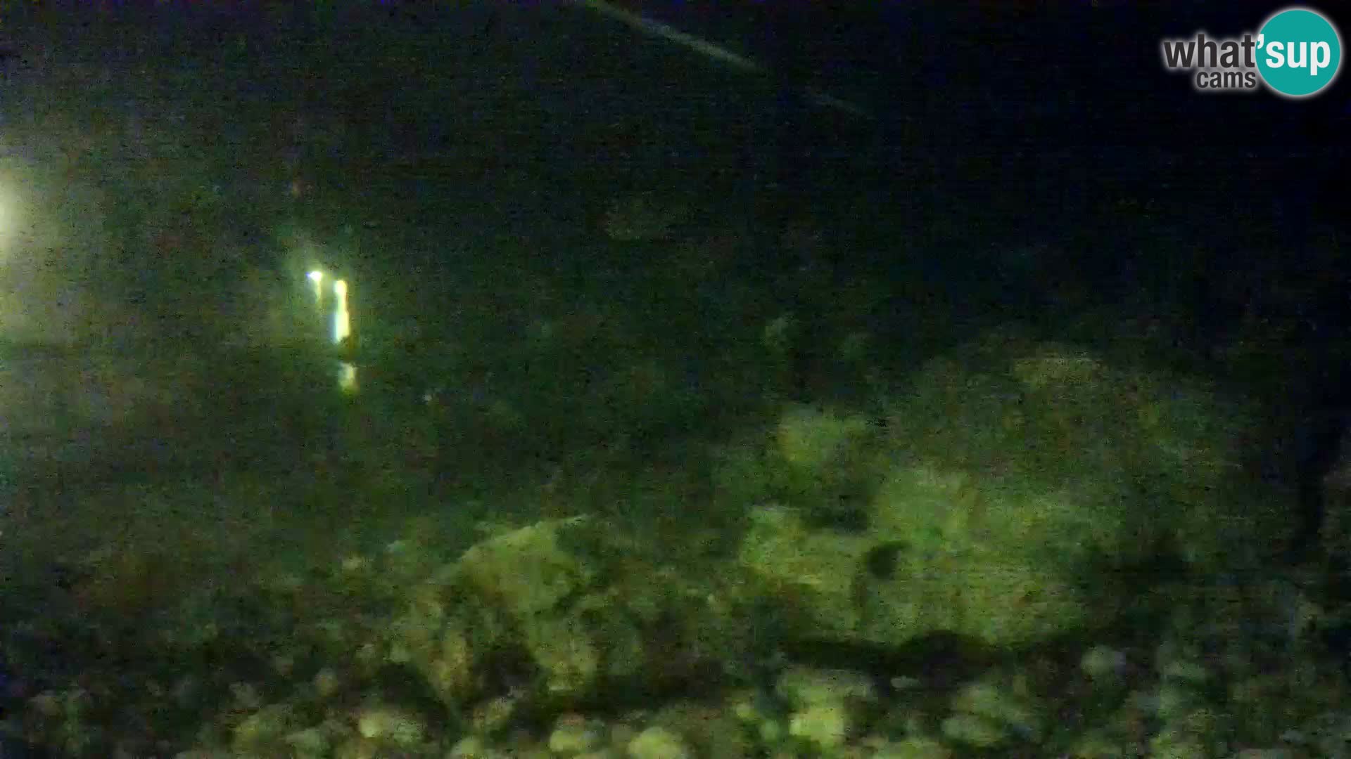 Outdoor Marine Aquarium Rogoznica webcam Croatia