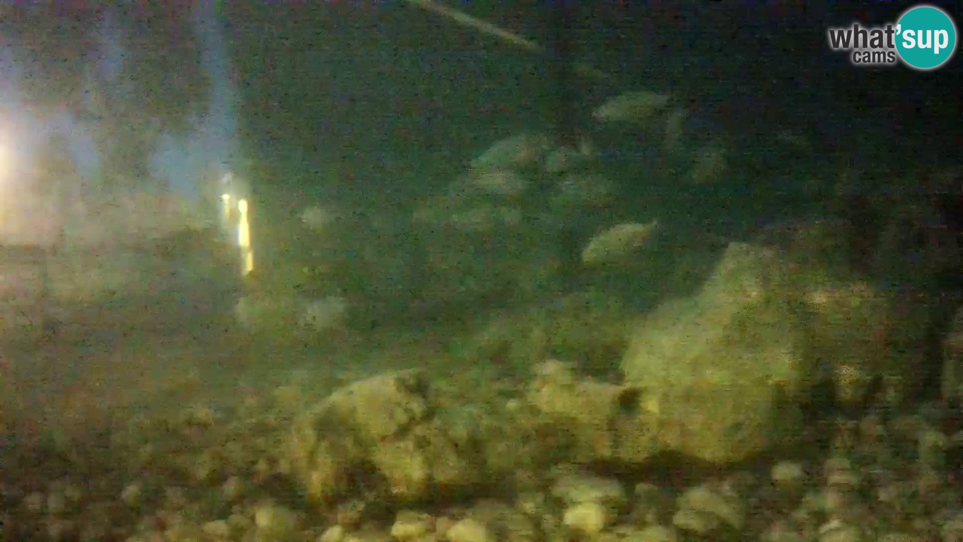 Outdoor Marine Aquarium Rogoznica webcam Croatia