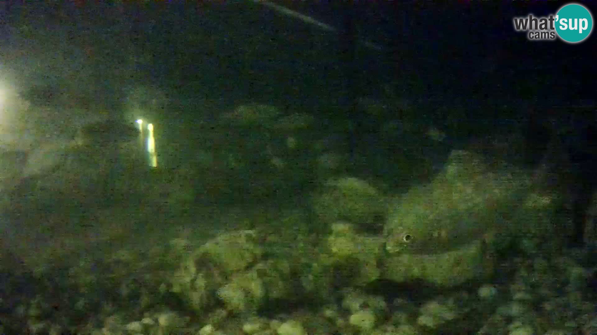 Marine Aquarium im Freien Rogoznica webcam Kroatien