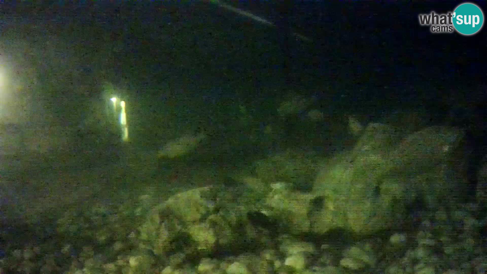 Zunanji morski akvarij Rogoznica spletna kamera Hrvaška