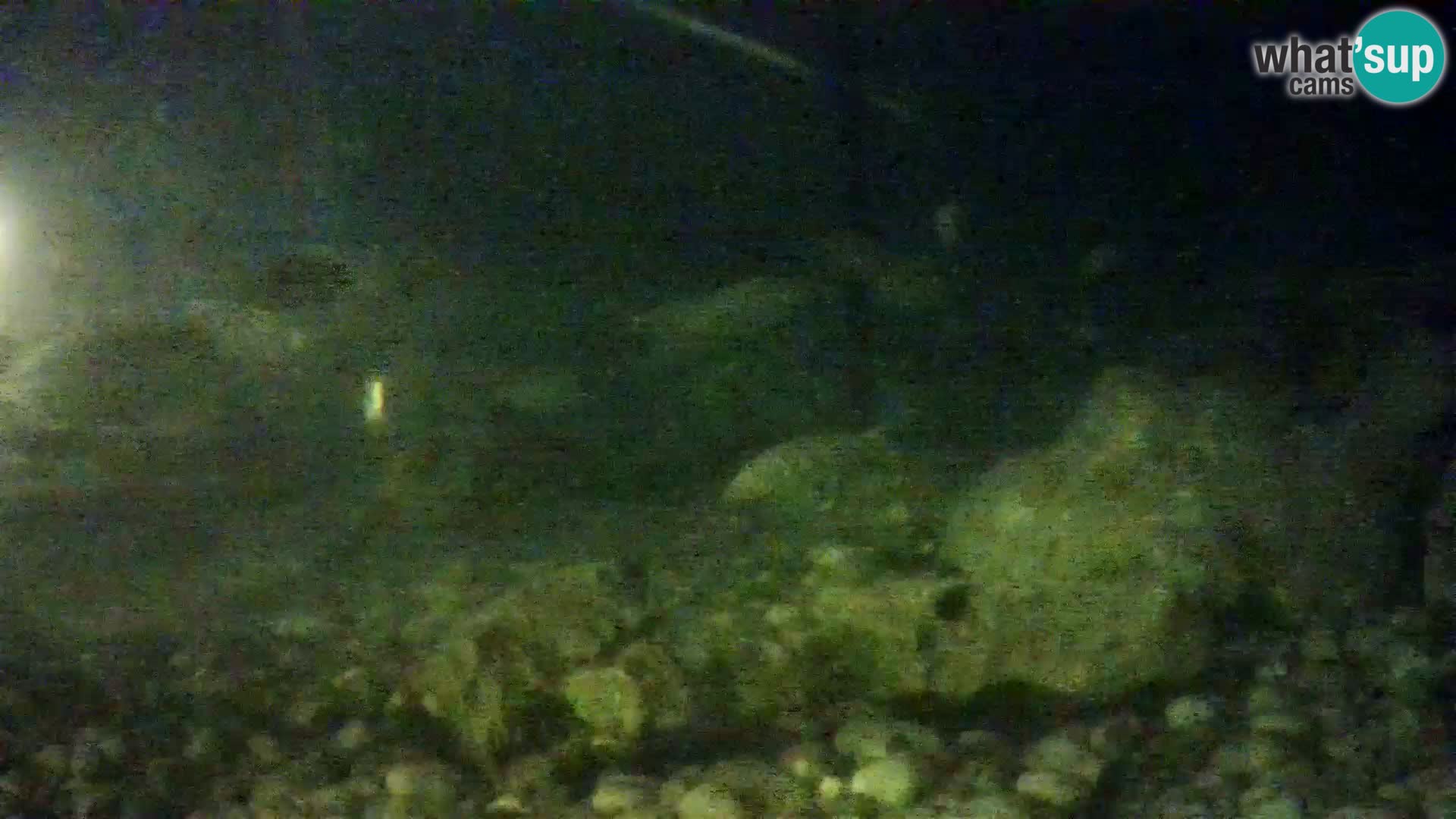 Marine Aquarium im Freien Rogoznica webcam Kroatien