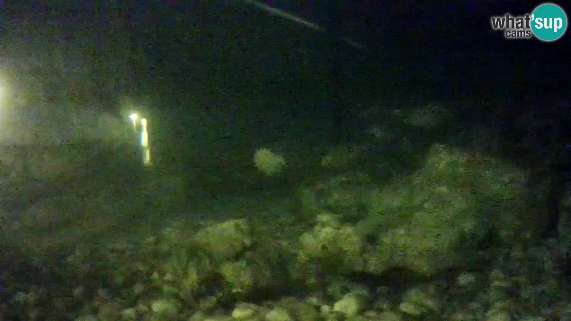 Outdoor Marine Aquarium Rogoznica webcam Croatia