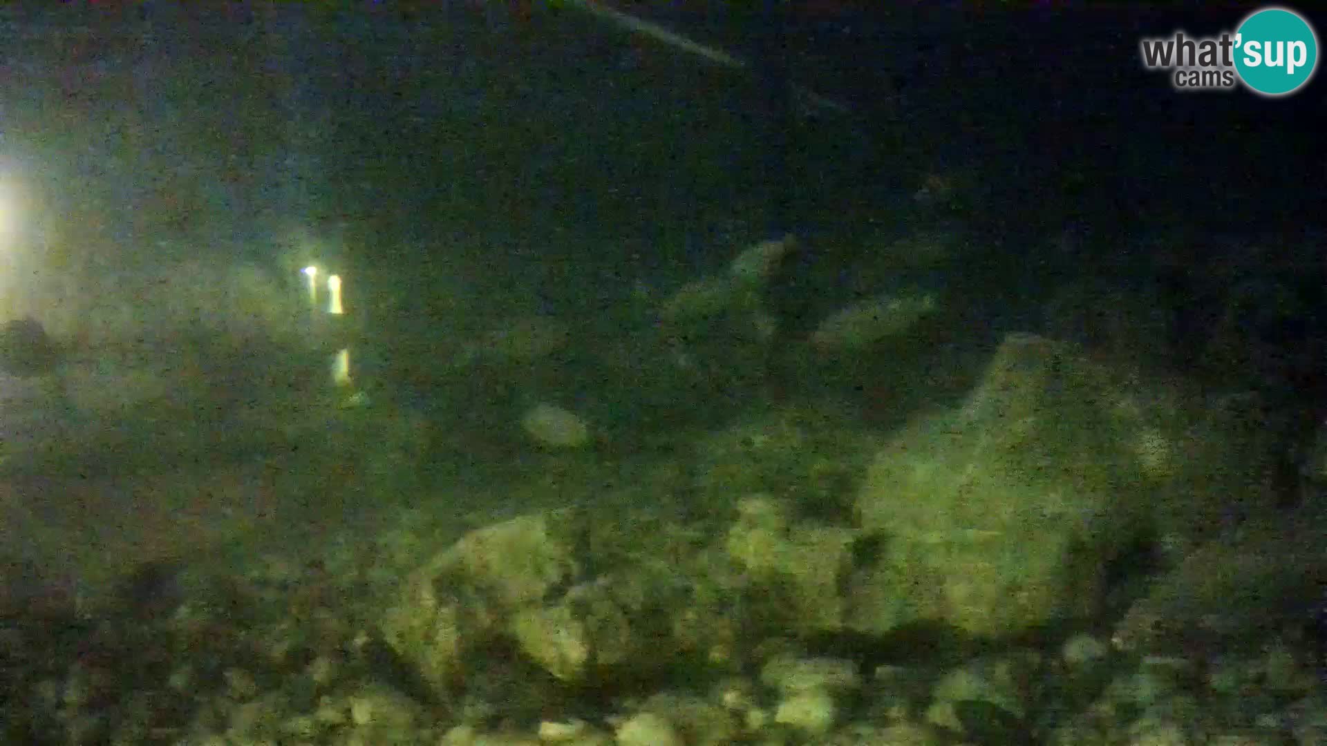 Outdoor Marine Aquarium Rogoznica webcam Croatia