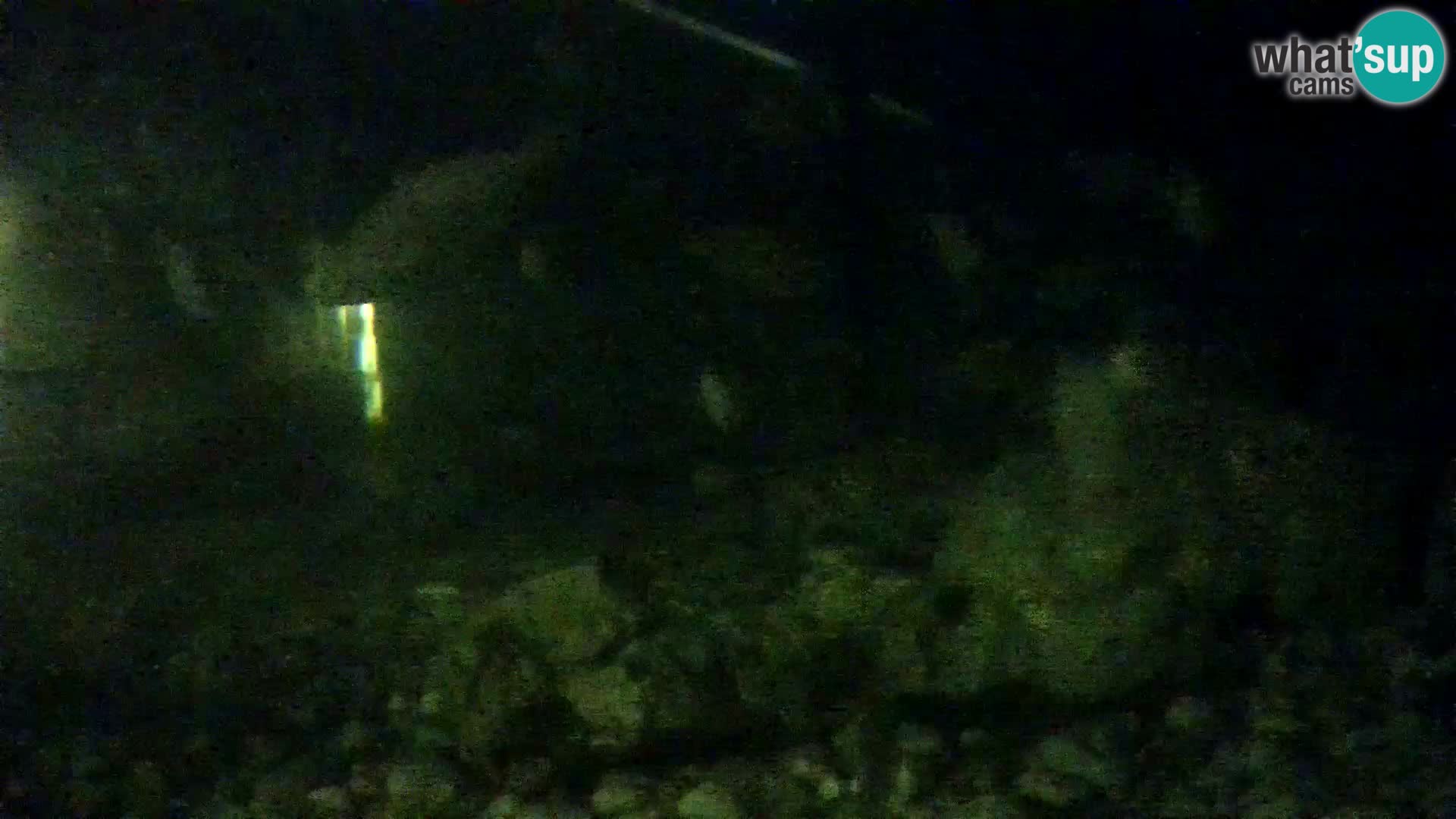 Acuario marino al aire libre Rogoznica webcam Croacia