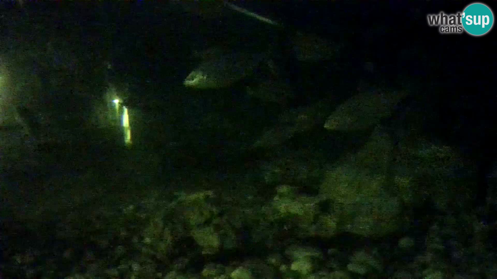 Aquario marino esterno –  Rogoznica livecam Croazia