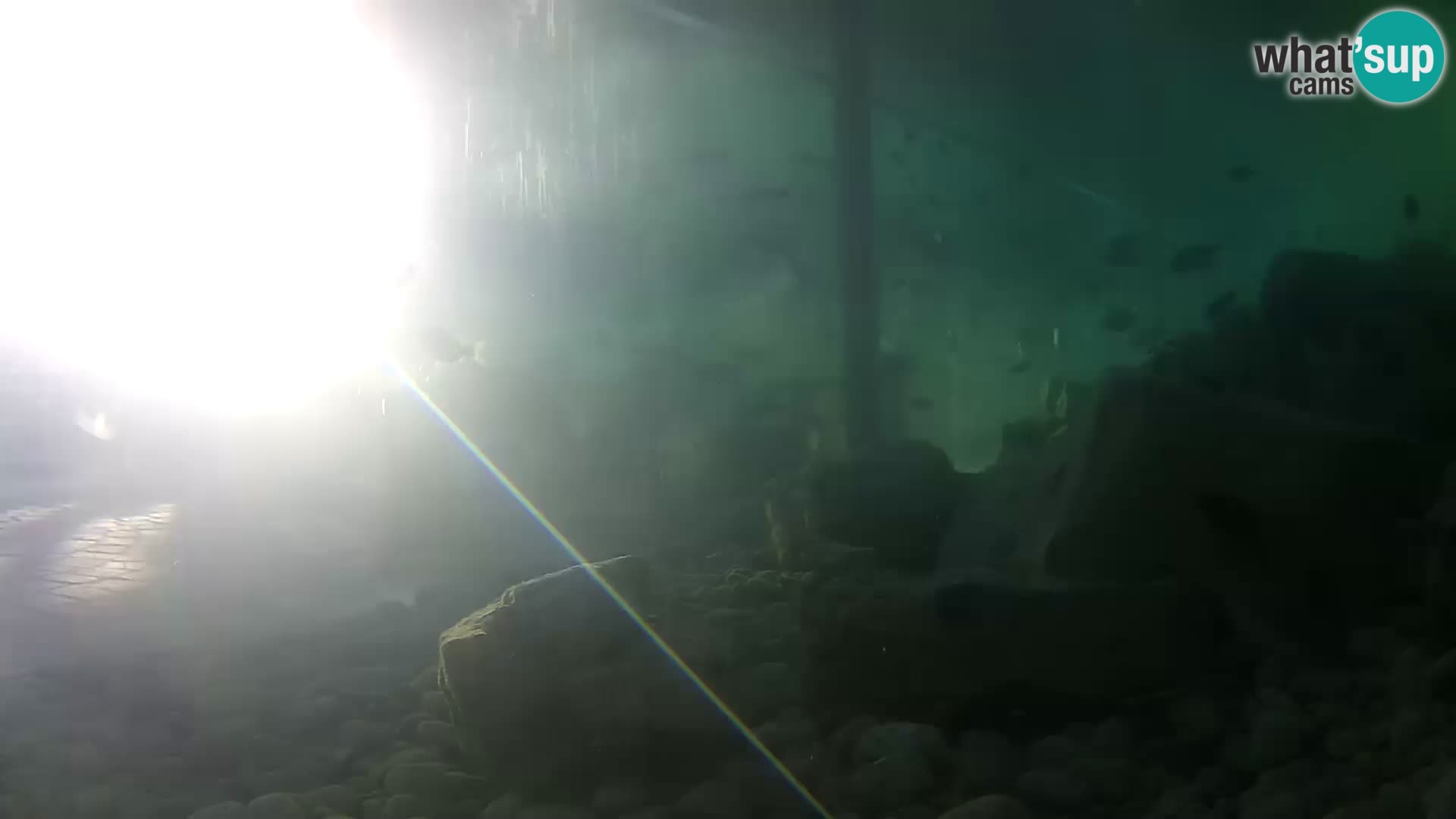 Outdoor Marine Aquarium Rogoznica webcam Croatia