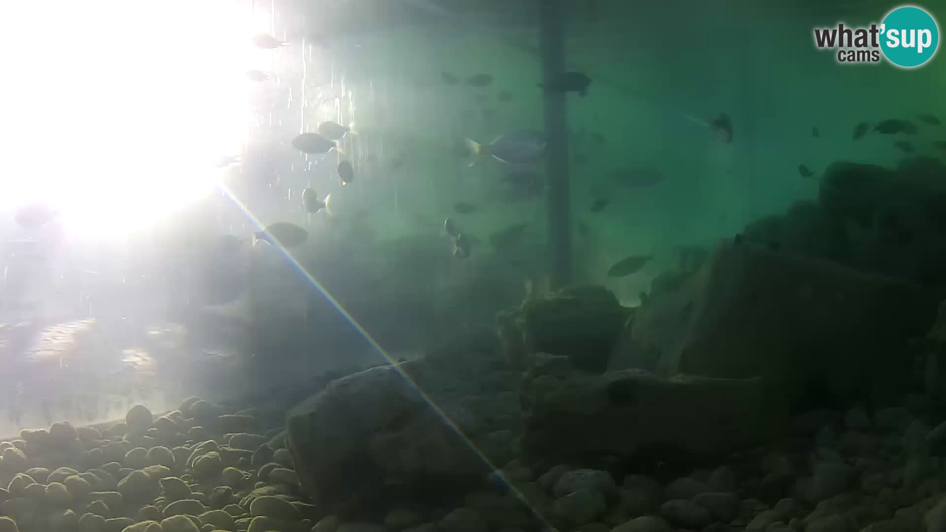 Marine Aquarium im Freien Rogoznica webcam Kroatien