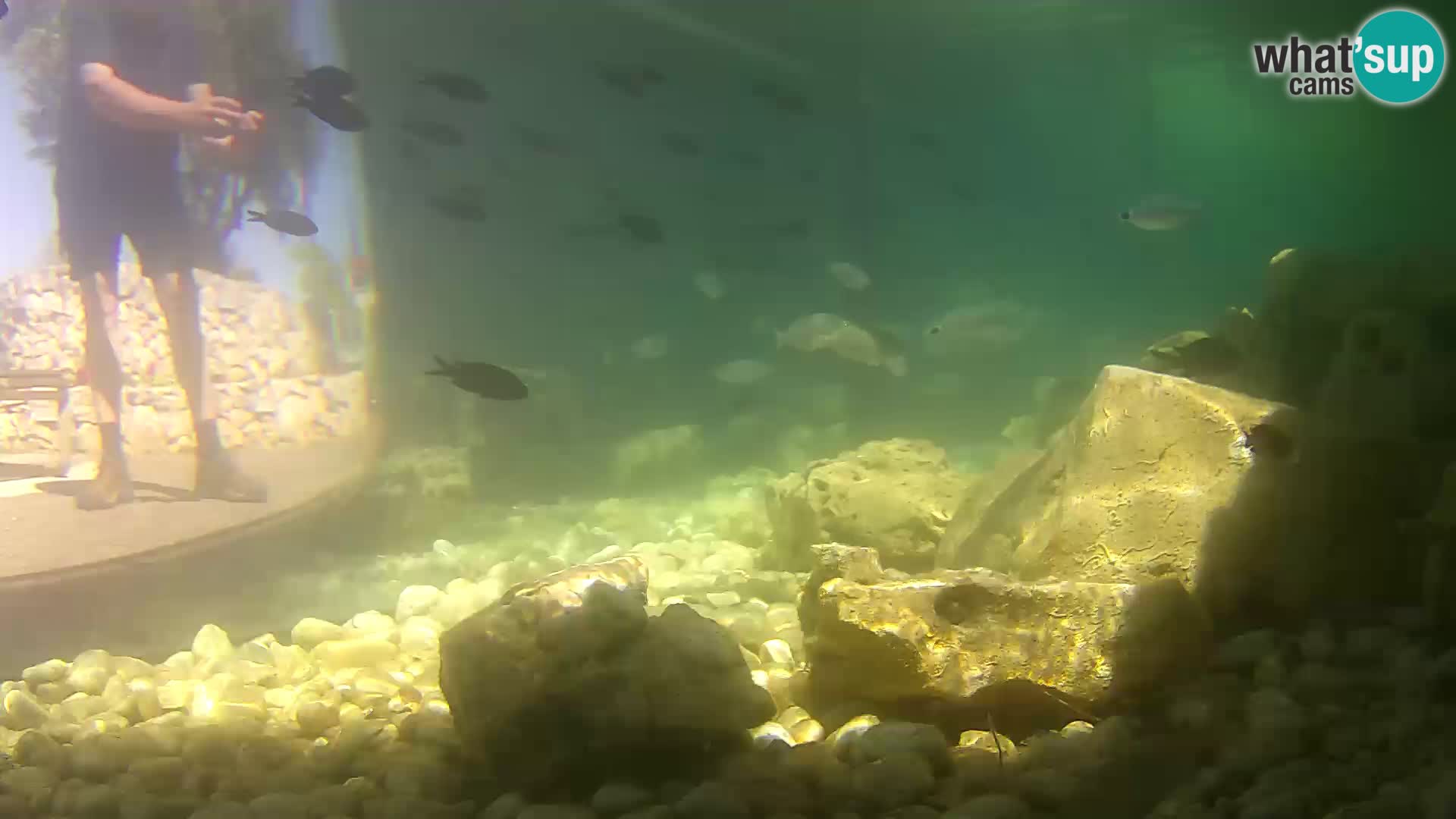 Unterwasserkamera Brijuni – Čamčarnica