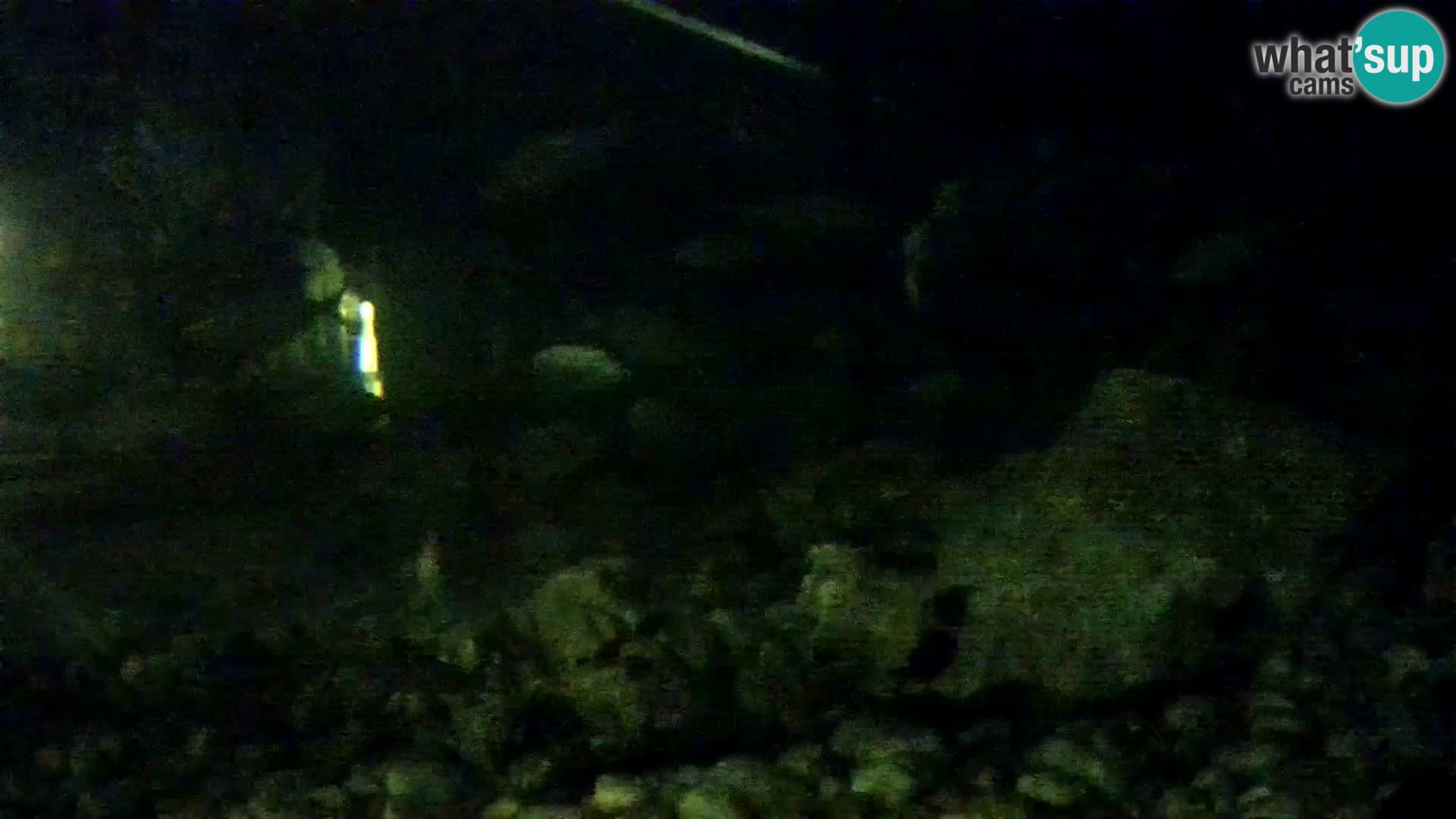 Aquario marino esterno –  Rogoznica livecam Croazia