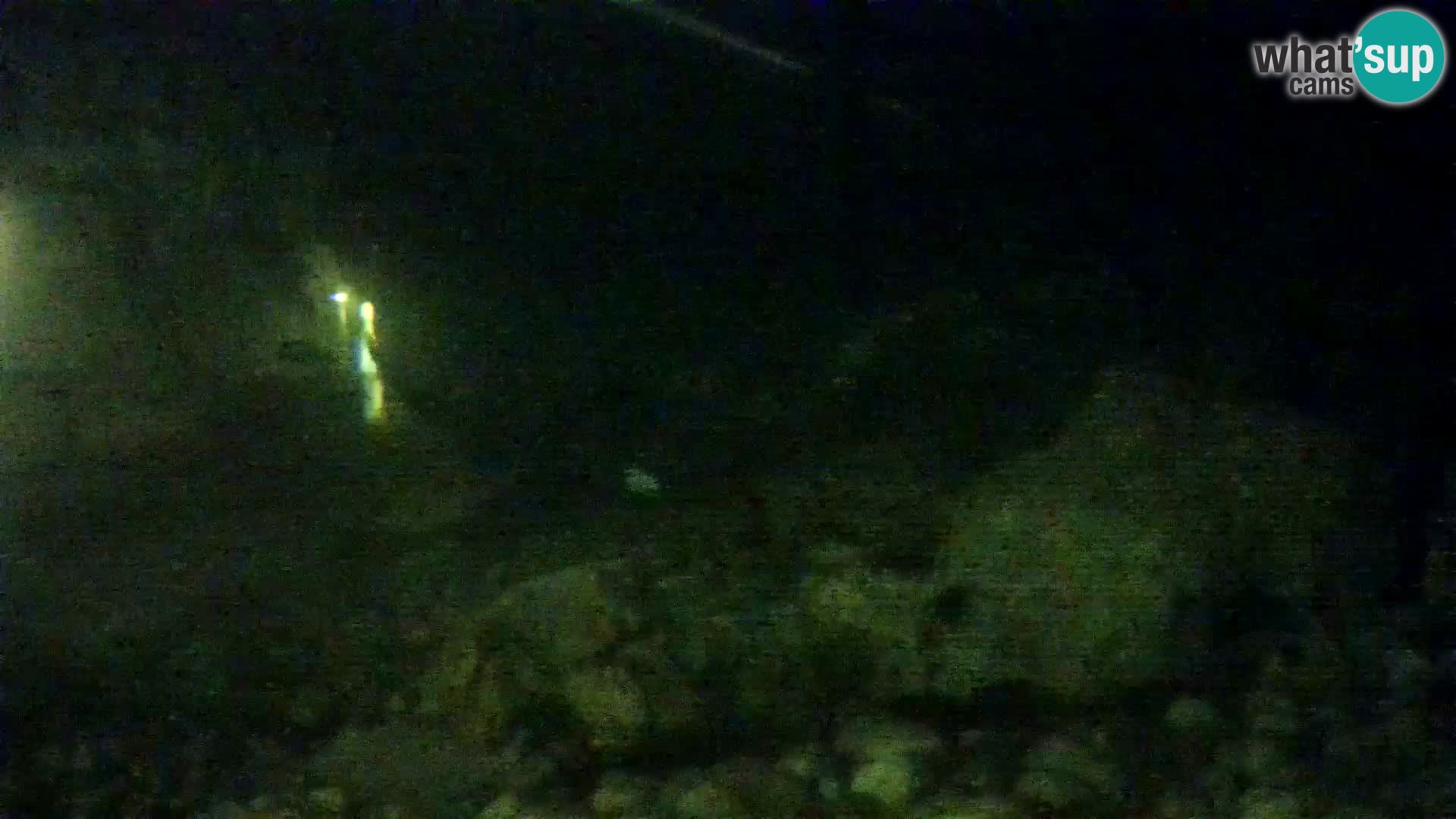 Aquario marino esterno –  Rogoznica livecam Croazia