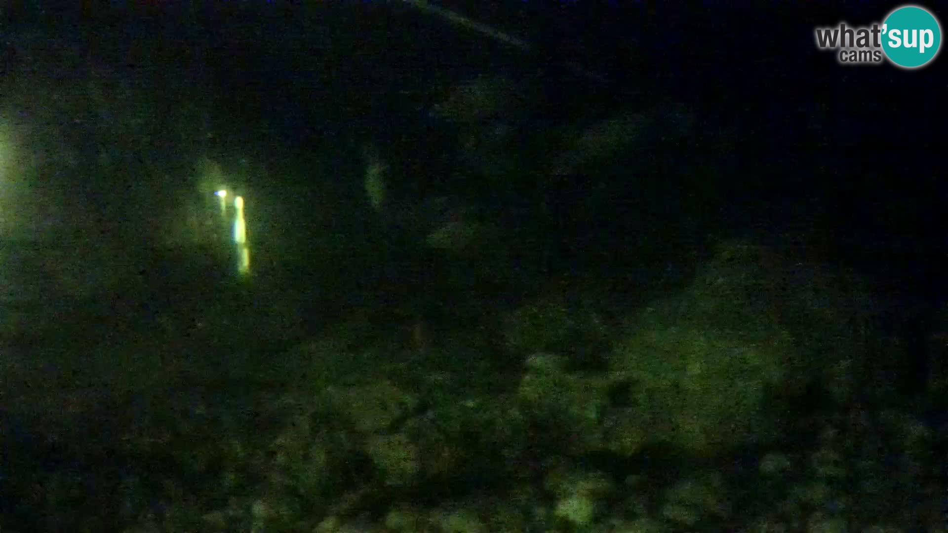 Zunanji morski akvarij Rogoznica spletna kamera Hrvaška