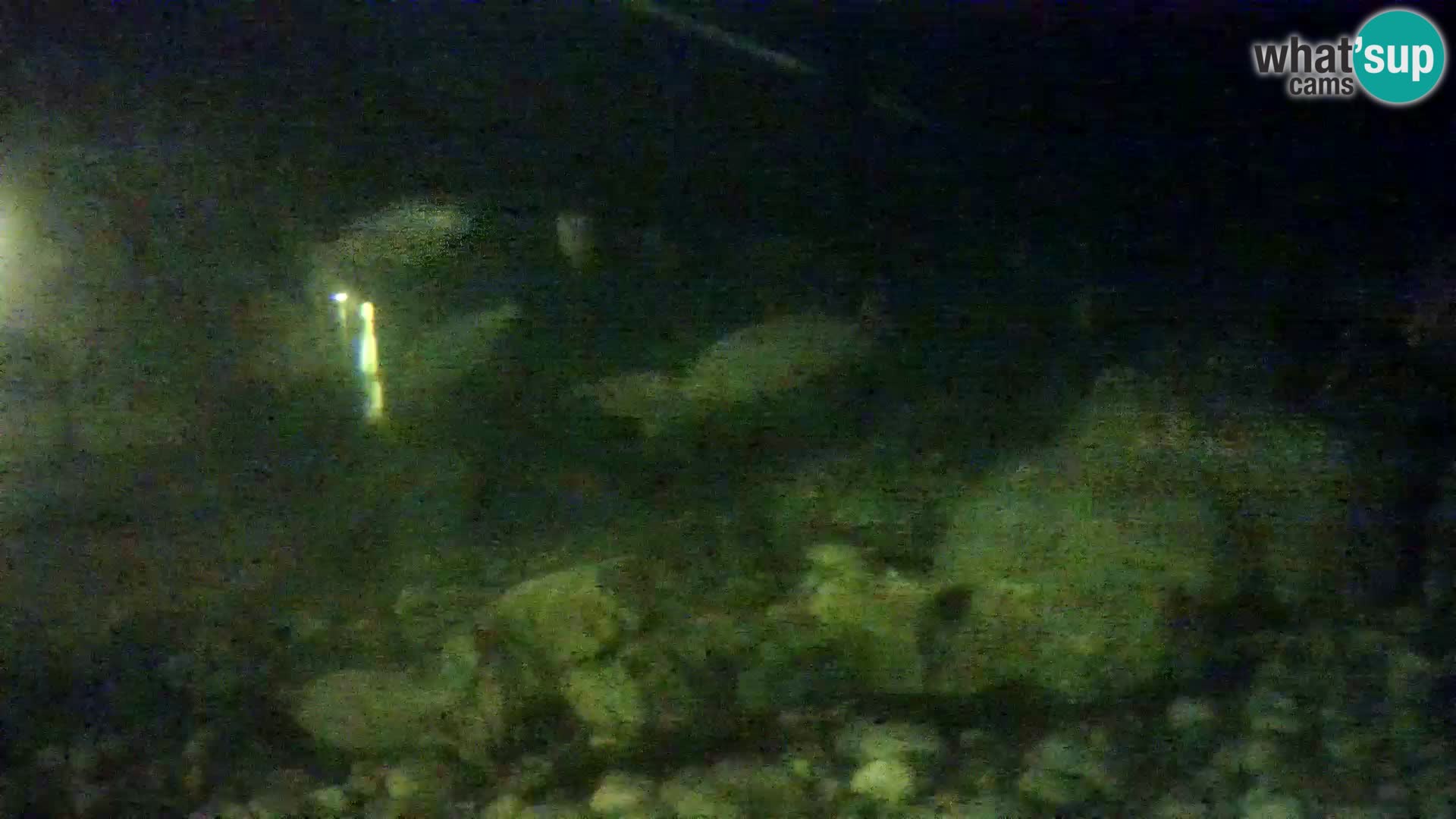 Acuario marino al aire libre Rogoznica webcam Croacia