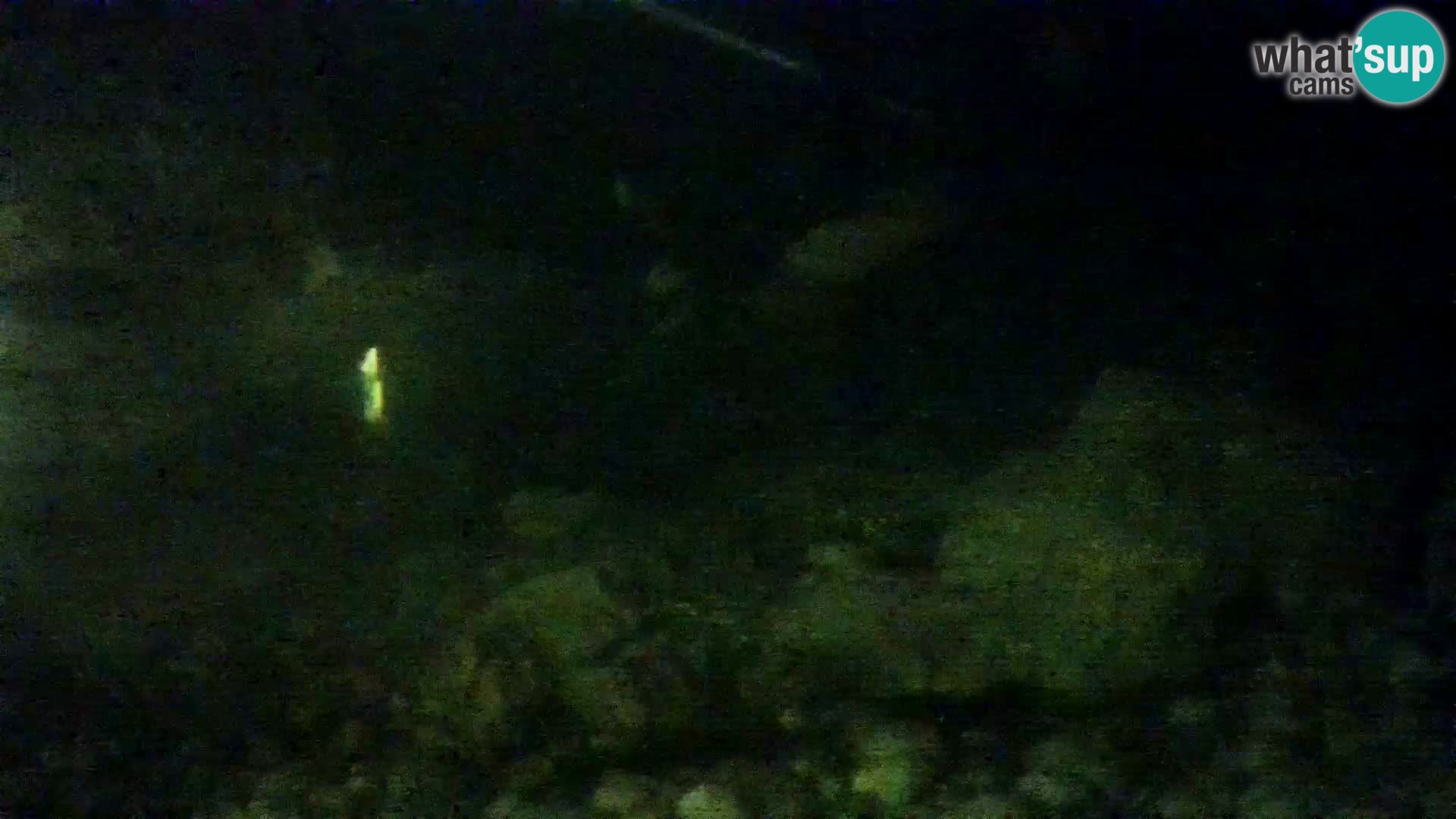 Marine Aquarium im Freien Rogoznica webcam Kroatien